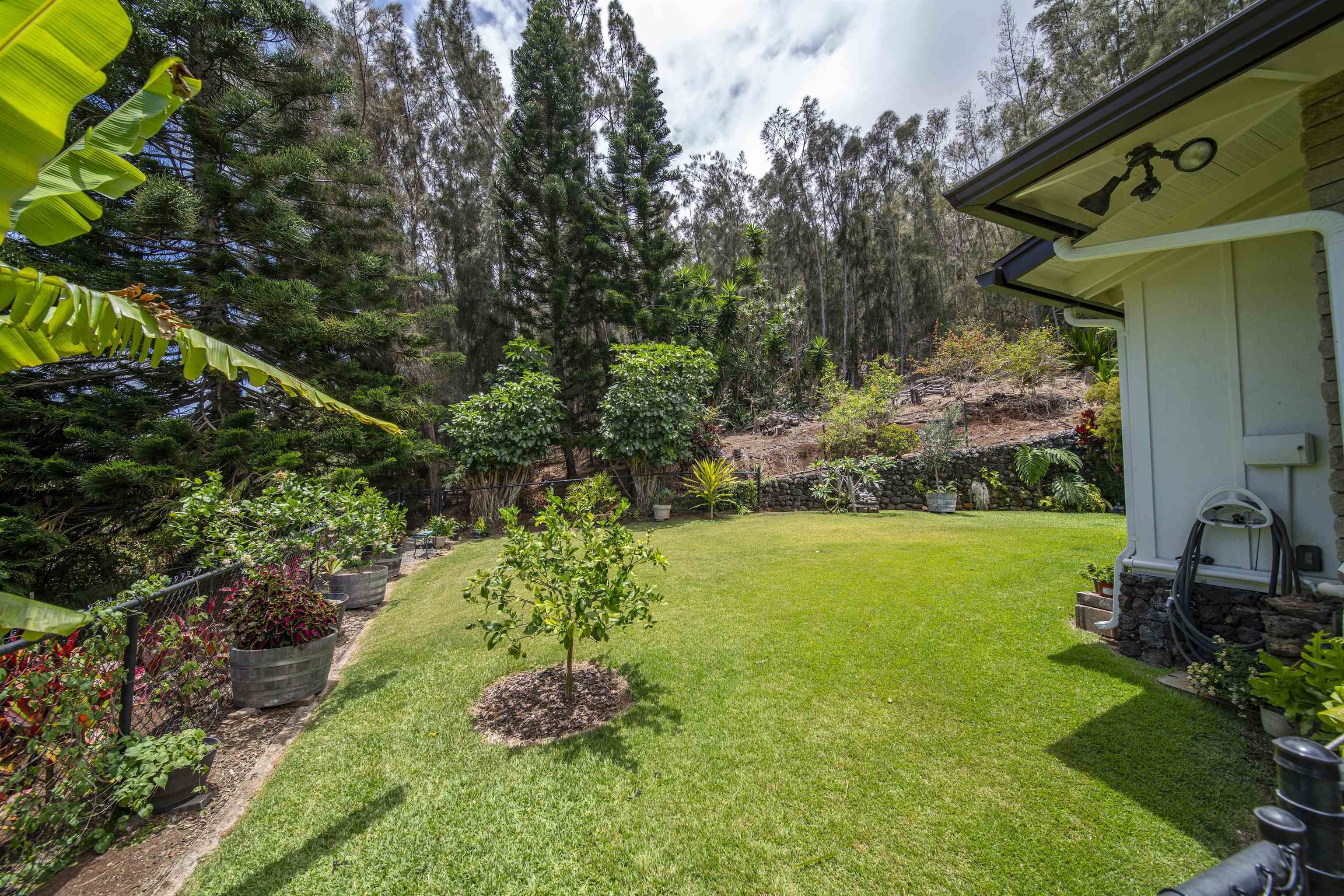 3075  Alaneo Pl , Wailuku home - photo 43 of 50