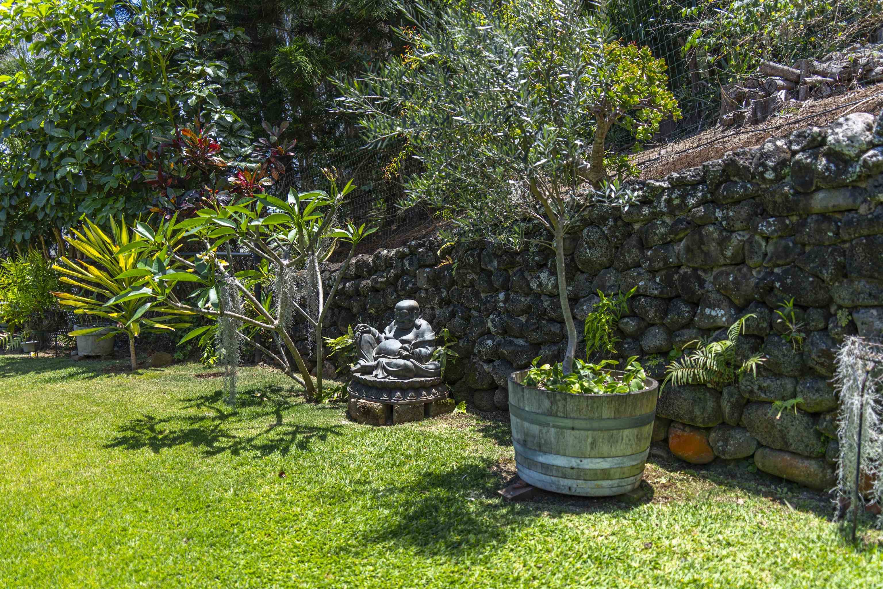 3075  Alaneo Pl , Wailuku home - photo 44 of 50