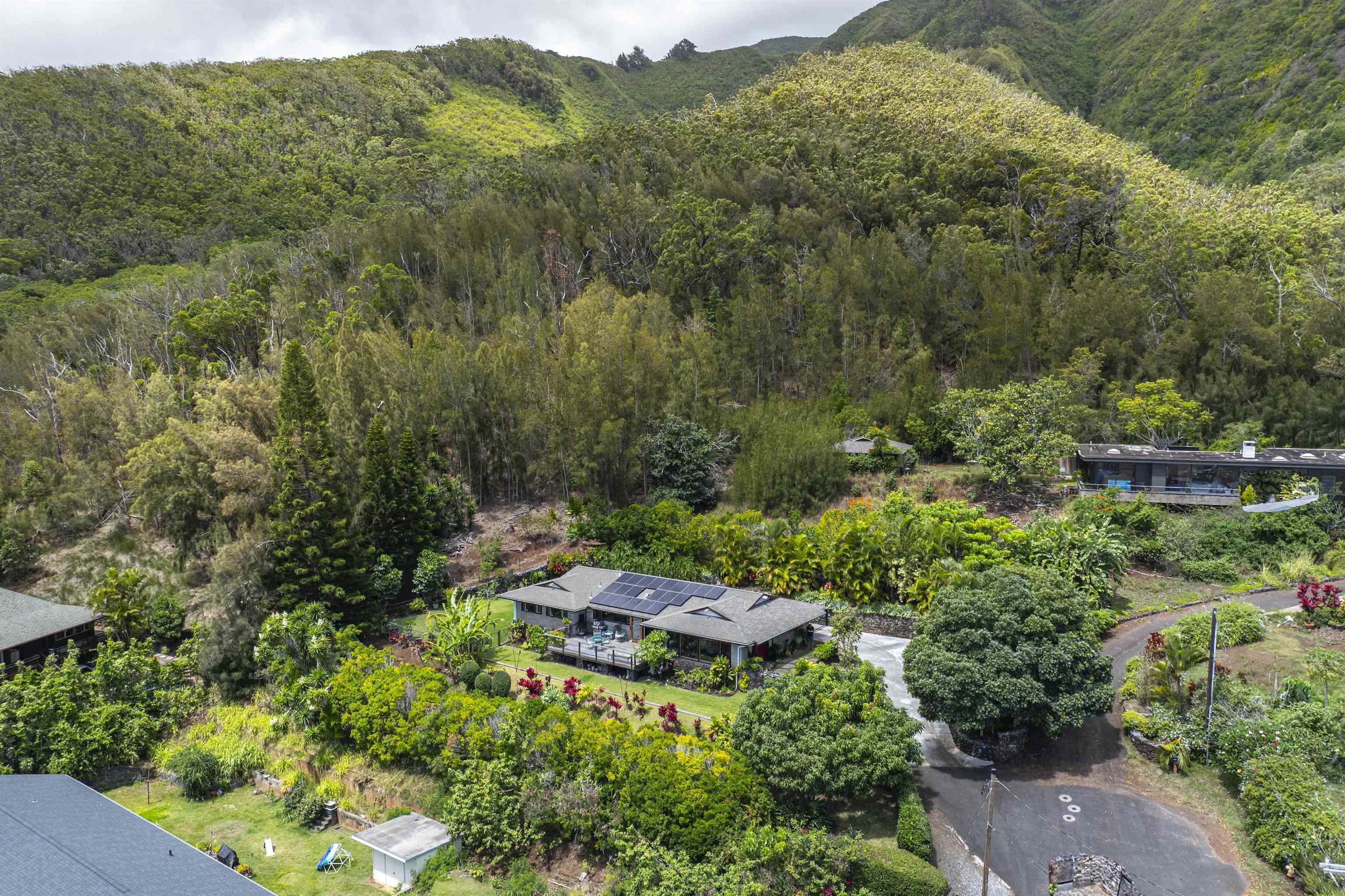 3075  Alaneo Pl , Wailuku home - photo 48 of 50