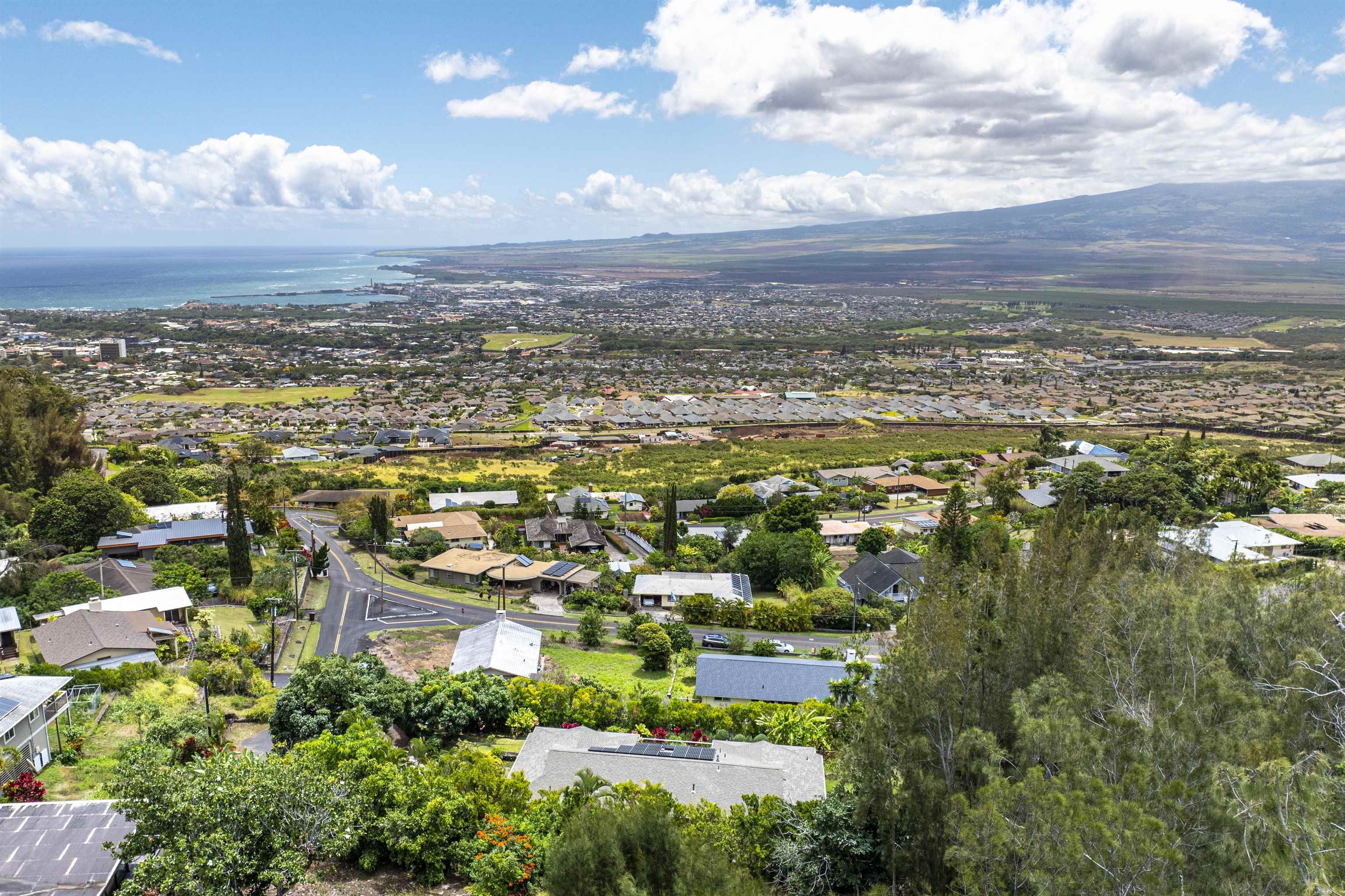 3075  Alaneo Pl , Wailuku home - photo 49 of 50