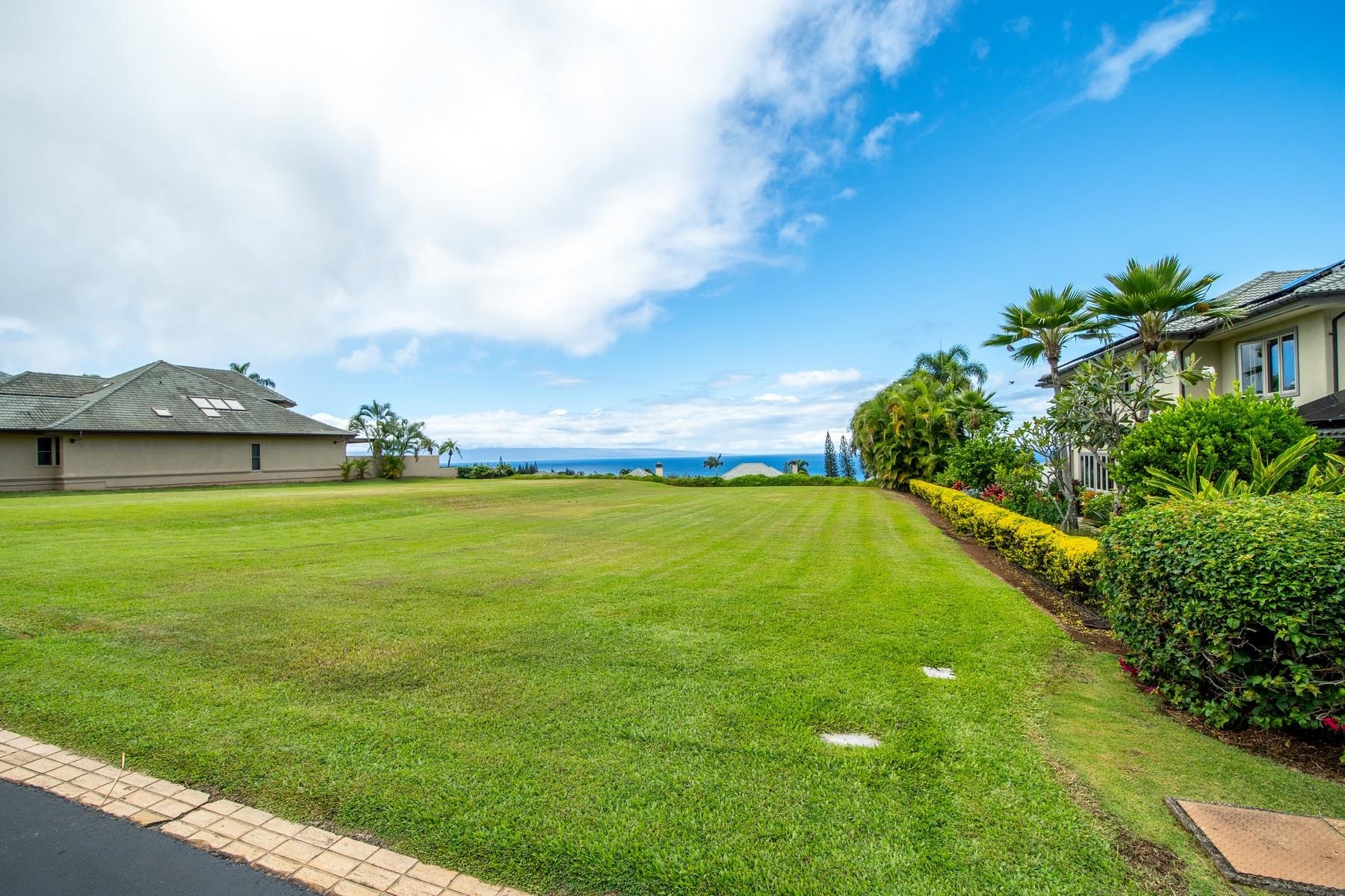 308 Cook Pine Dr 74 Lahaina, Hi vacant land for sale - photo 3 of 9