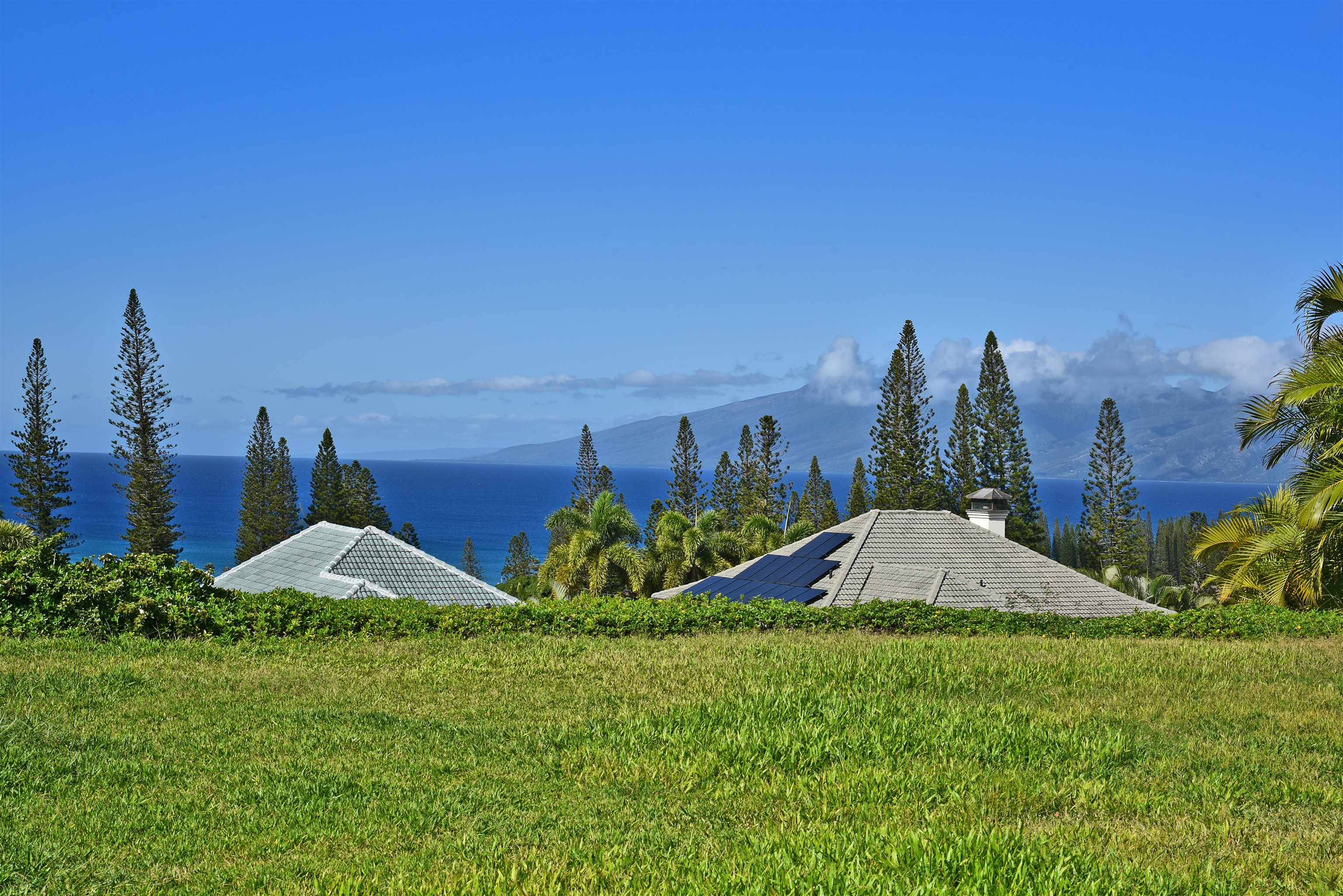 308 Cook Pine Dr  Lahaina, Hi vacant land for sale - photo 2 of 11