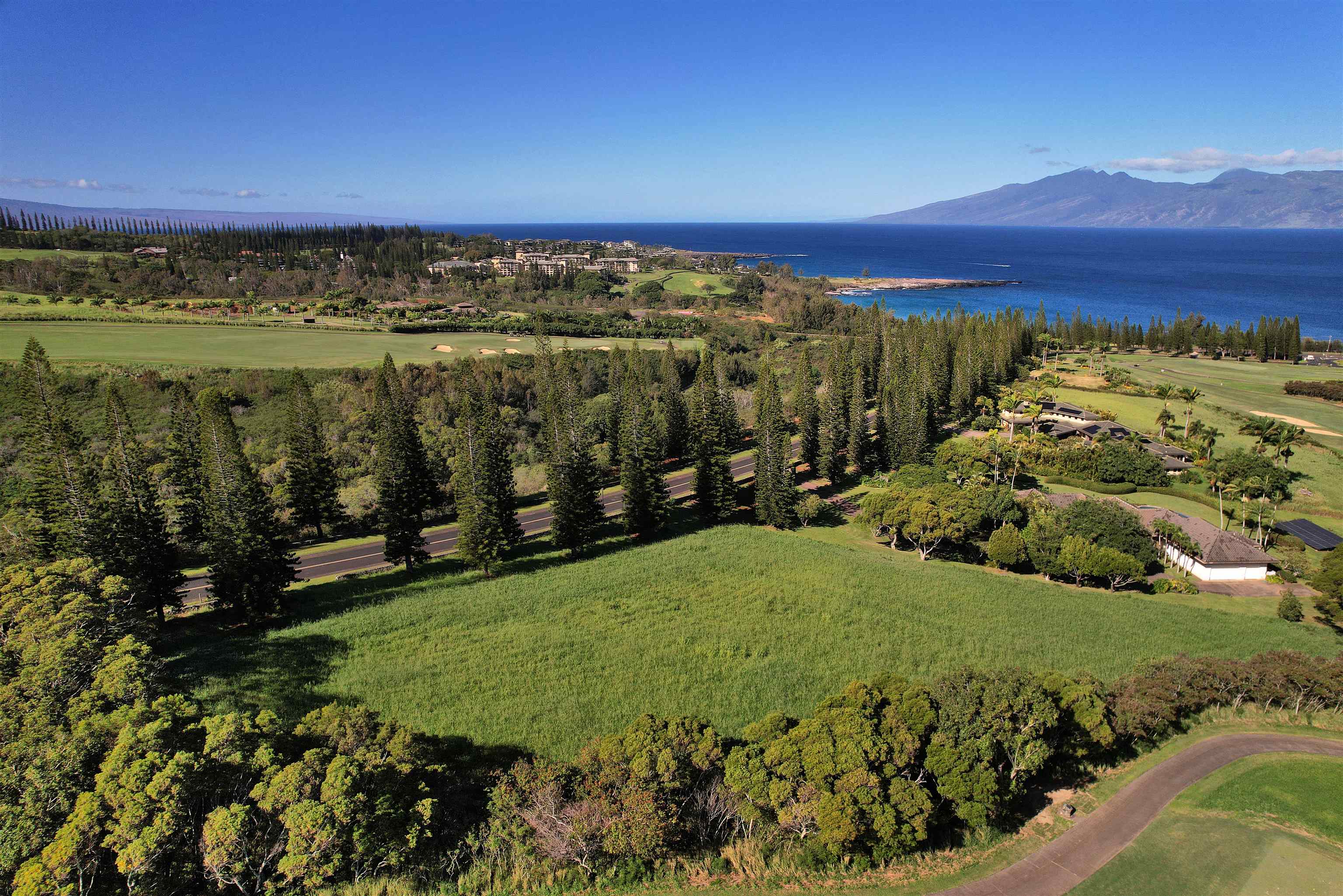 309 Plantation Estates Dr  Lahaina, Hi vacant land for sale - photo 12 of 36