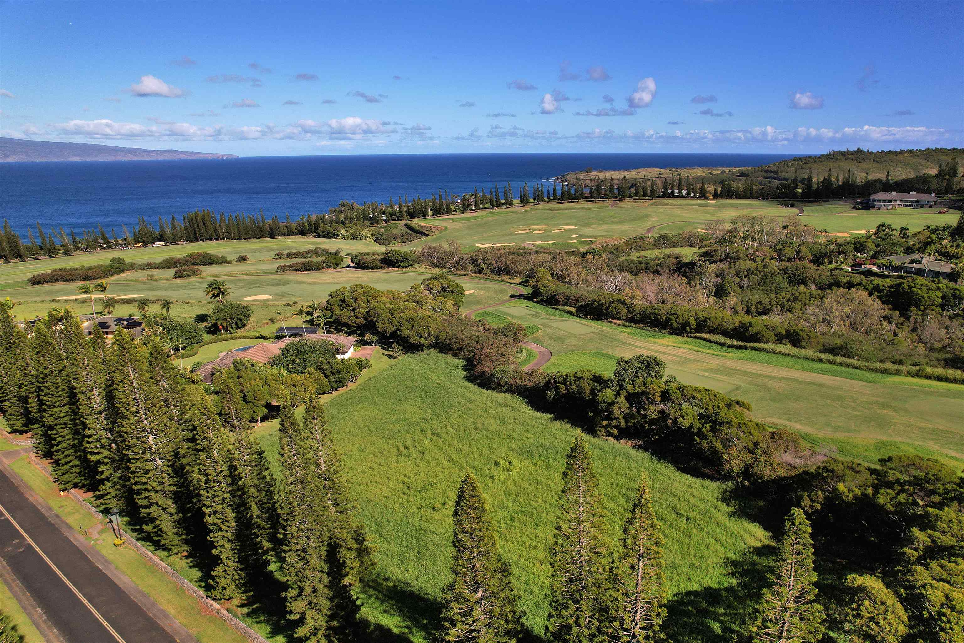 309 Plantation Estates Dr  Lahaina, Hi vacant land for sale - photo 16 of 36