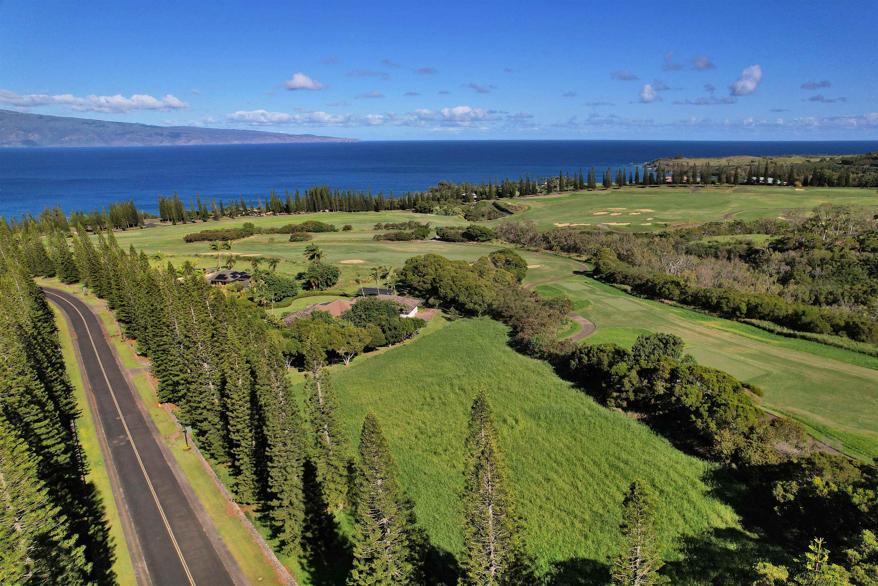 309 Plantation Estates Dr  Lahaina, Hi vacant land for sale - photo 17 of 36