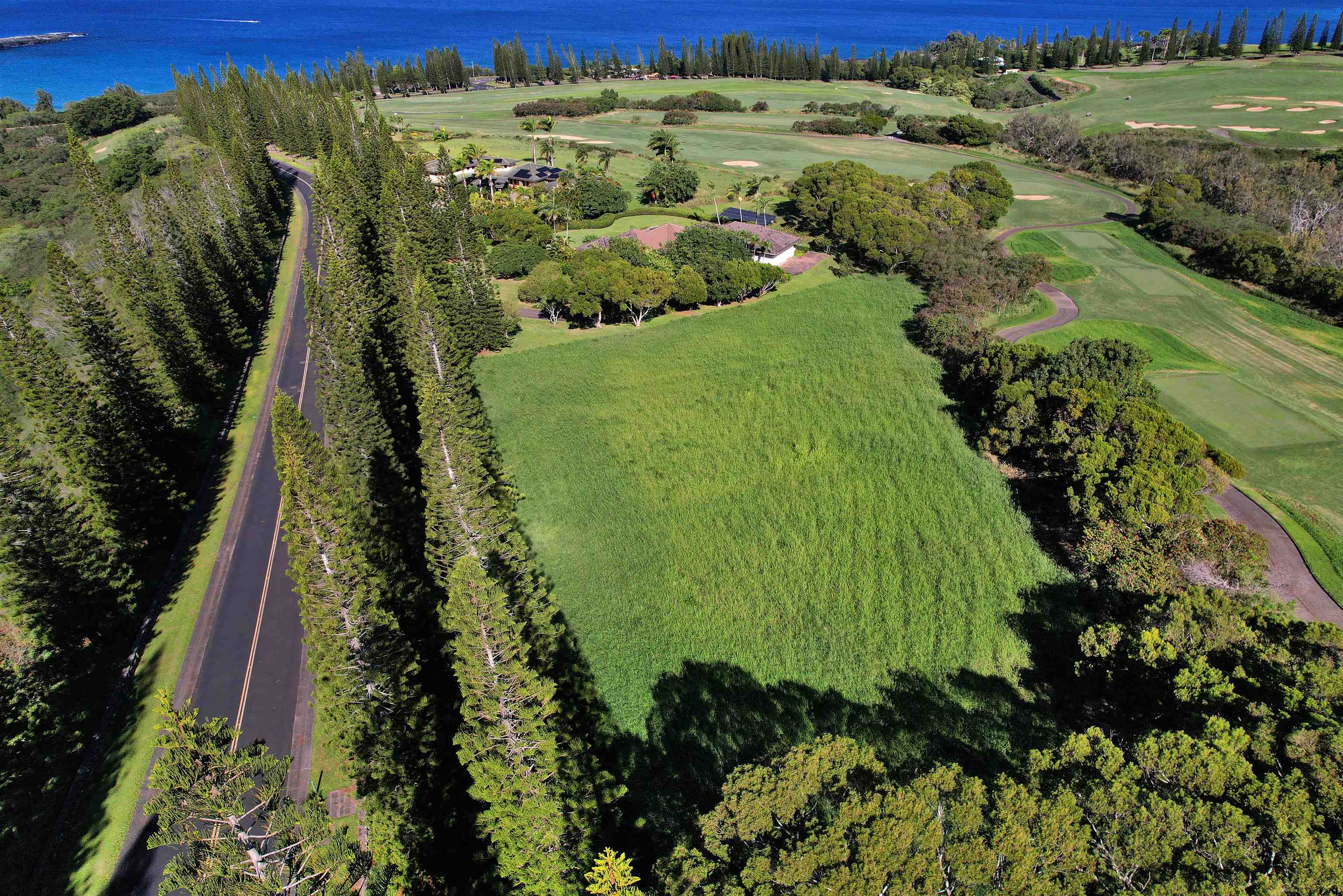 309 Plantation Estates Dr  Lahaina, Hi vacant land for sale - photo 19 of 36