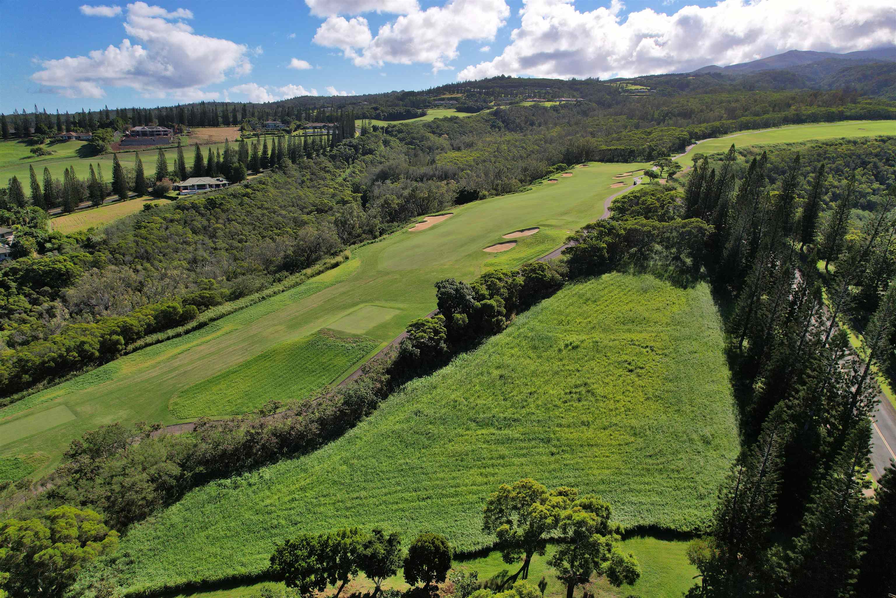 309 Plantation Estates Dr  Lahaina, Hi vacant land for sale - photo 22 of 36