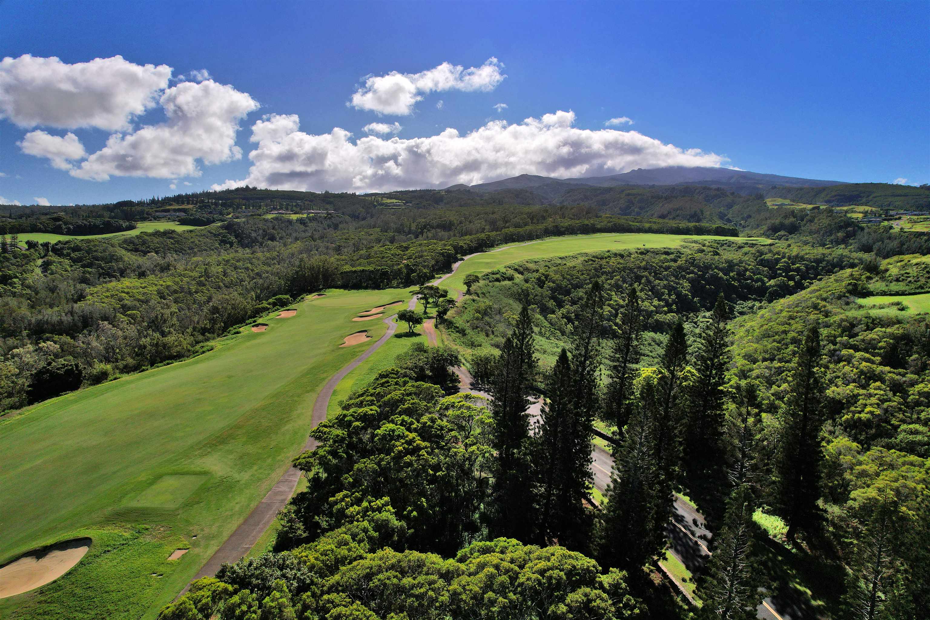 309 Plantation Estates Dr  Lahaina, Hi vacant land for sale - photo 23 of 36