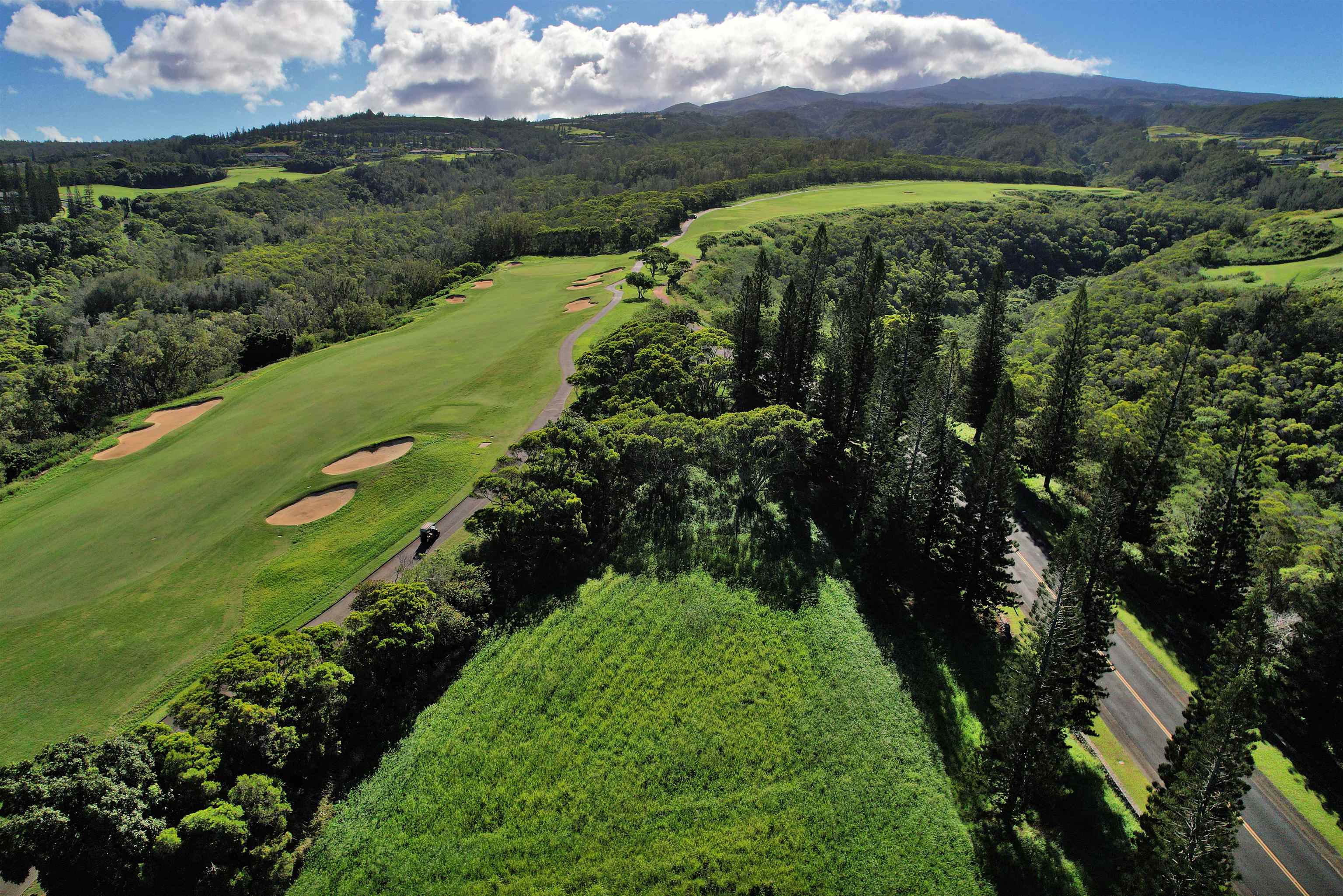 309 Plantation Estates Dr  Lahaina, Hi vacant land for sale - photo 24 of 36