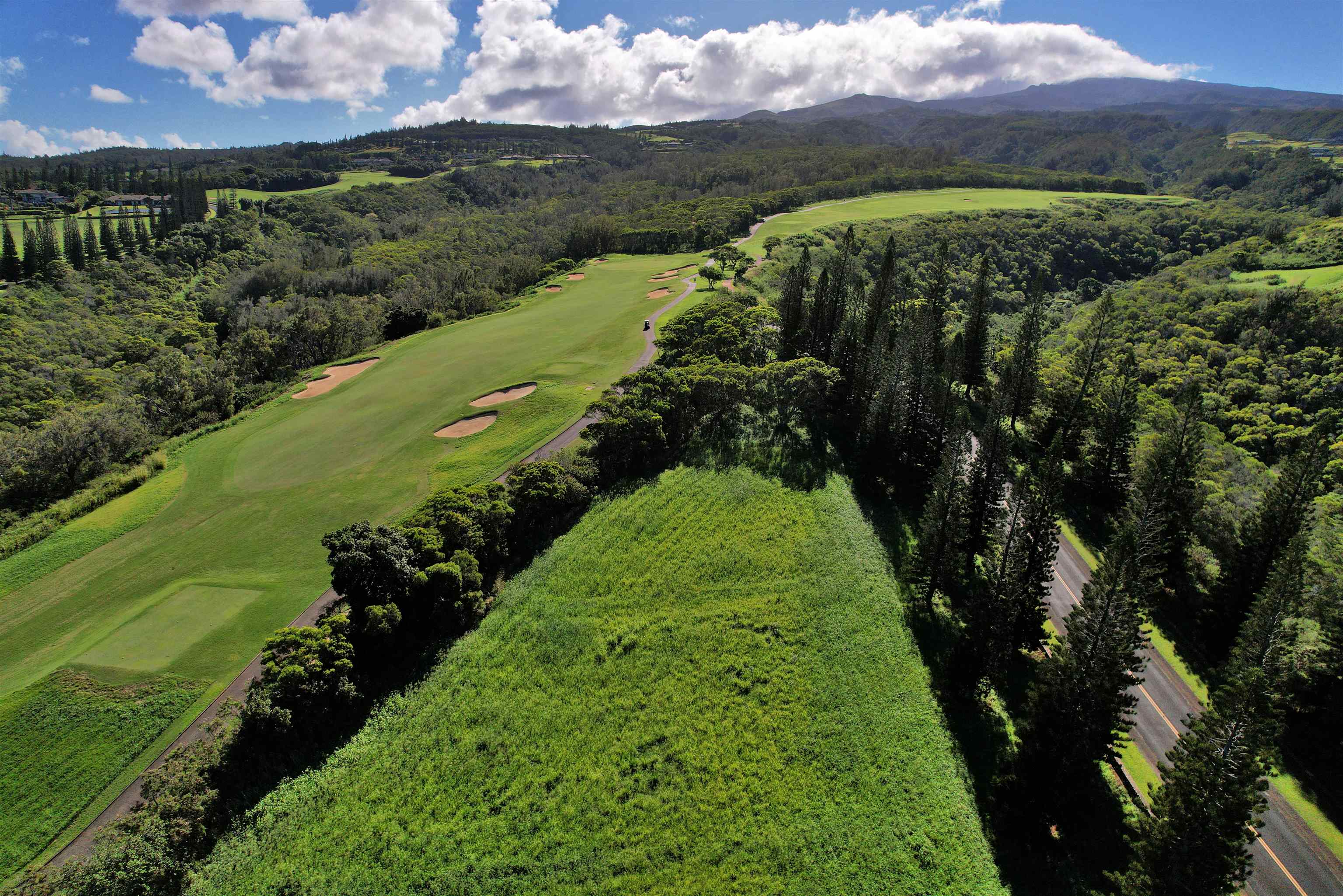 309 Plantation Estates Dr  Lahaina, Hi vacant land for sale - photo 25 of 36