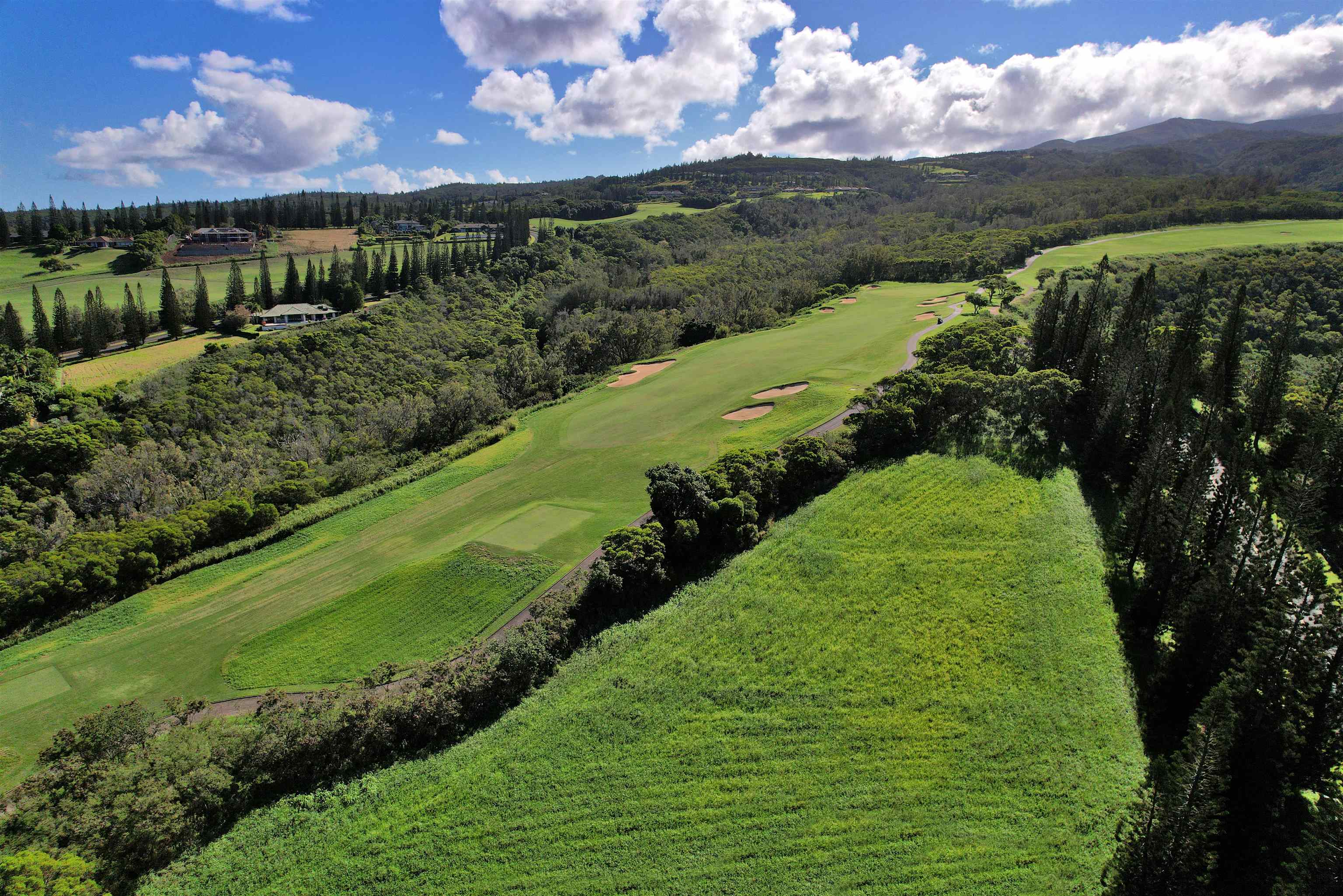 309 Plantation Estates Dr  Lahaina, Hi vacant land for sale - photo 26 of 36