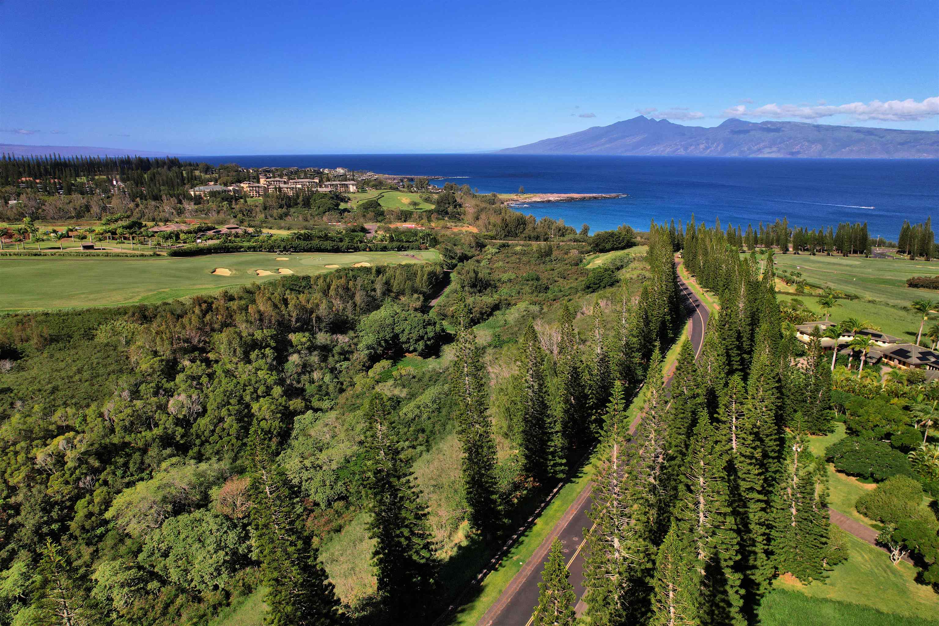 309 Plantation Estates Dr  Lahaina, Hi vacant land for sale - photo 27 of 36