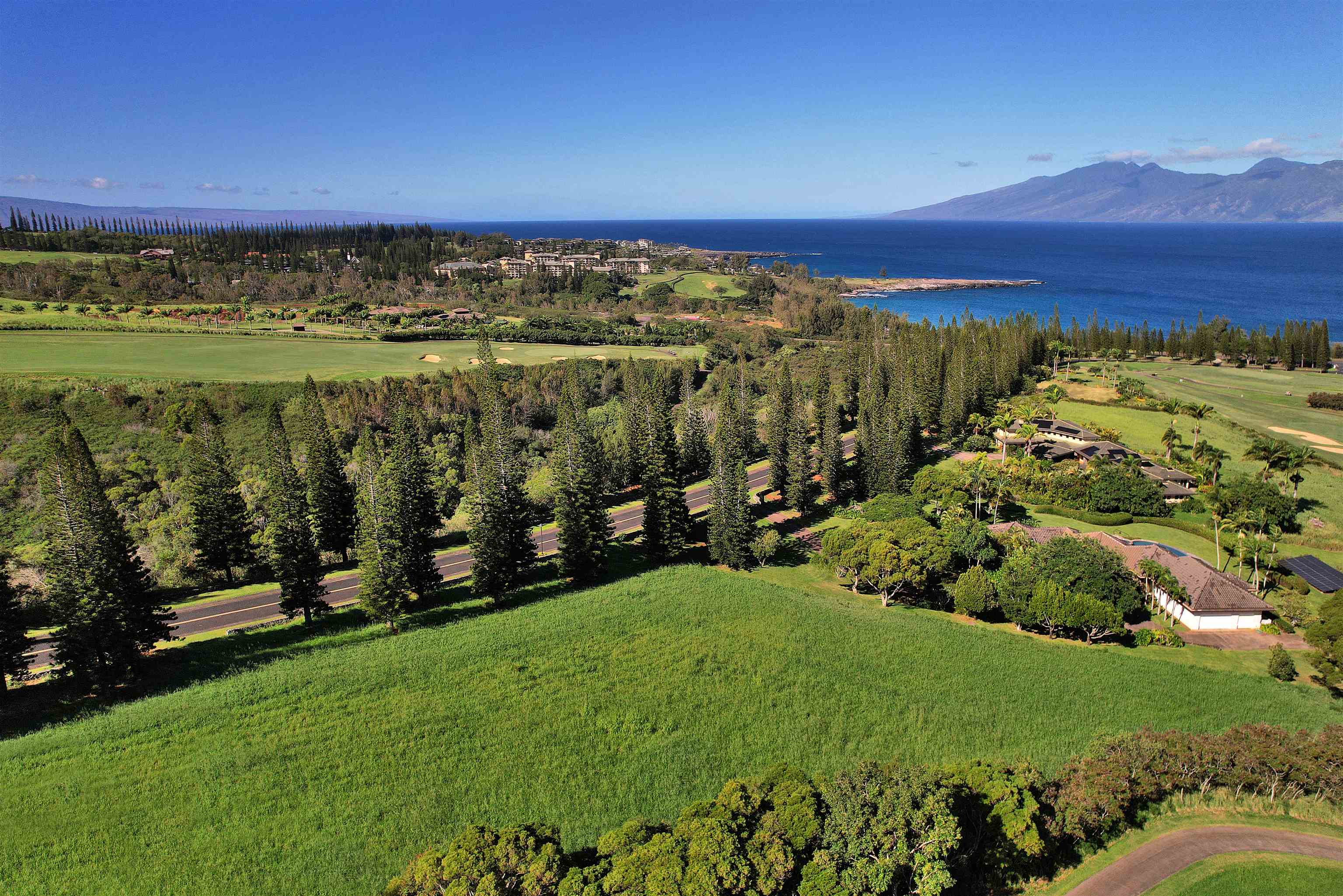 309 Plantation Estates Dr  Lahaina, Hi vacant land for sale - photo 30 of 36