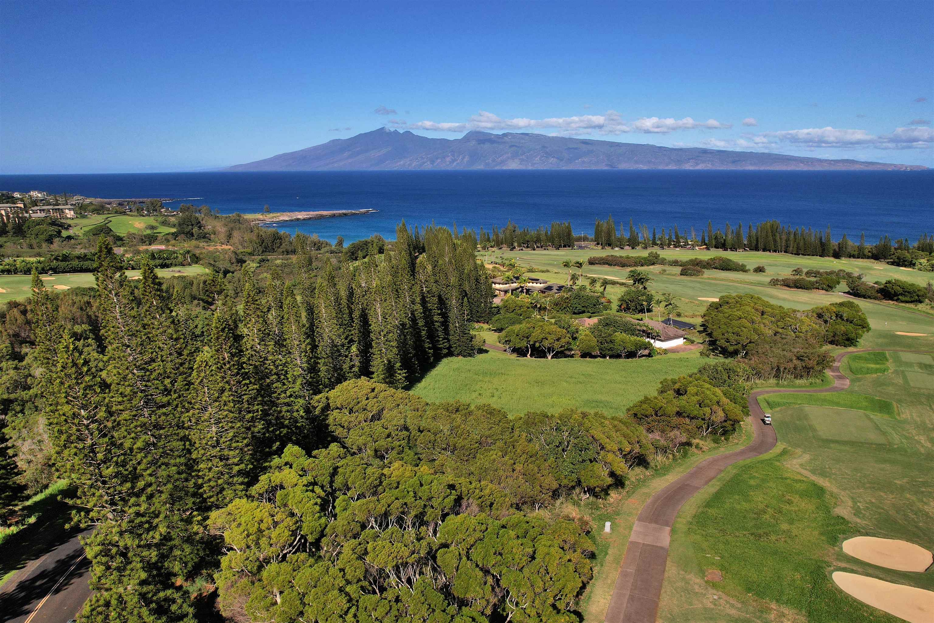 309 Plantation Estates Dr  Lahaina, Hi vacant land for sale - photo 4 of 36