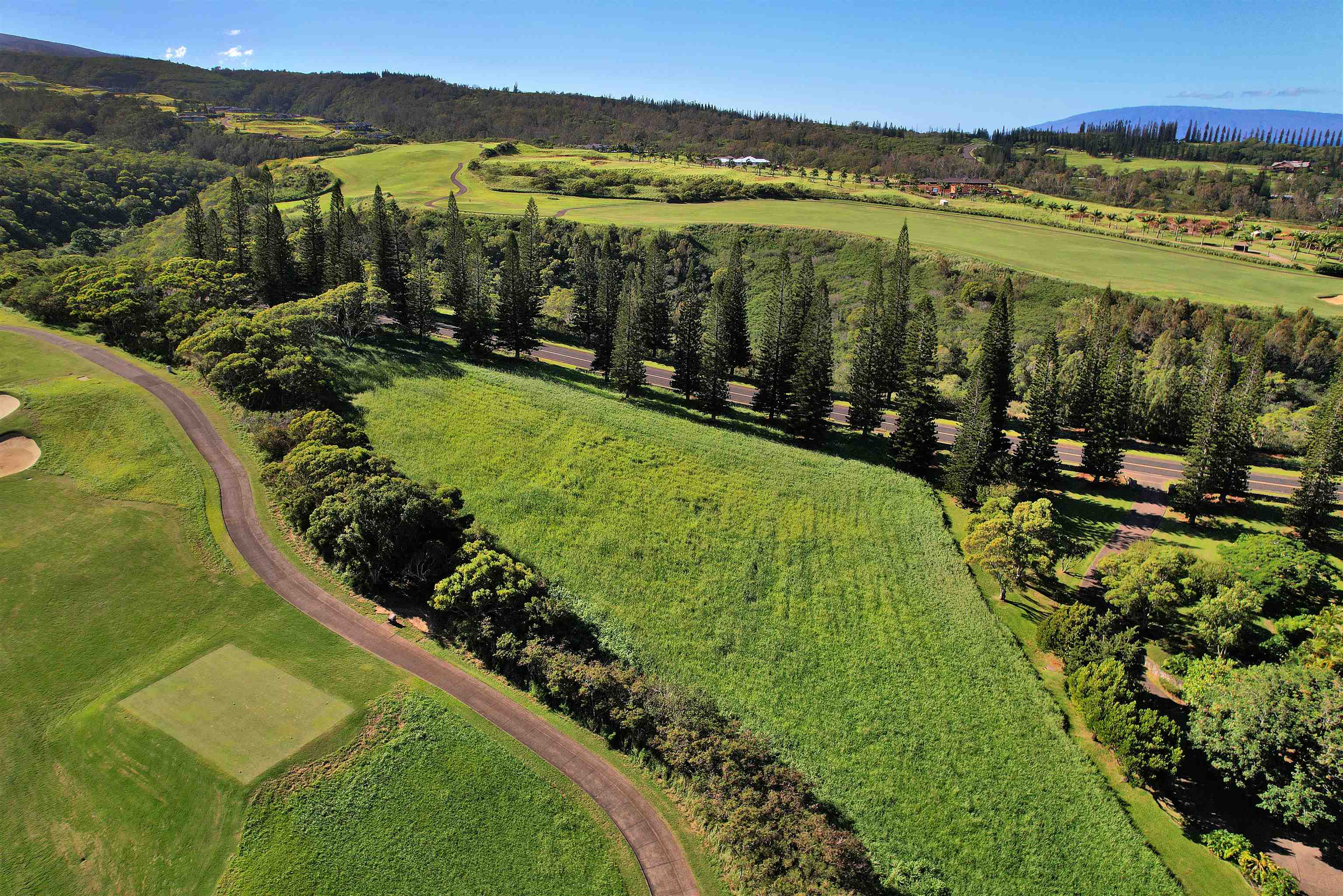 309 Plantation Estates Dr  Lahaina, Hi vacant land for sale - photo 31 of 36