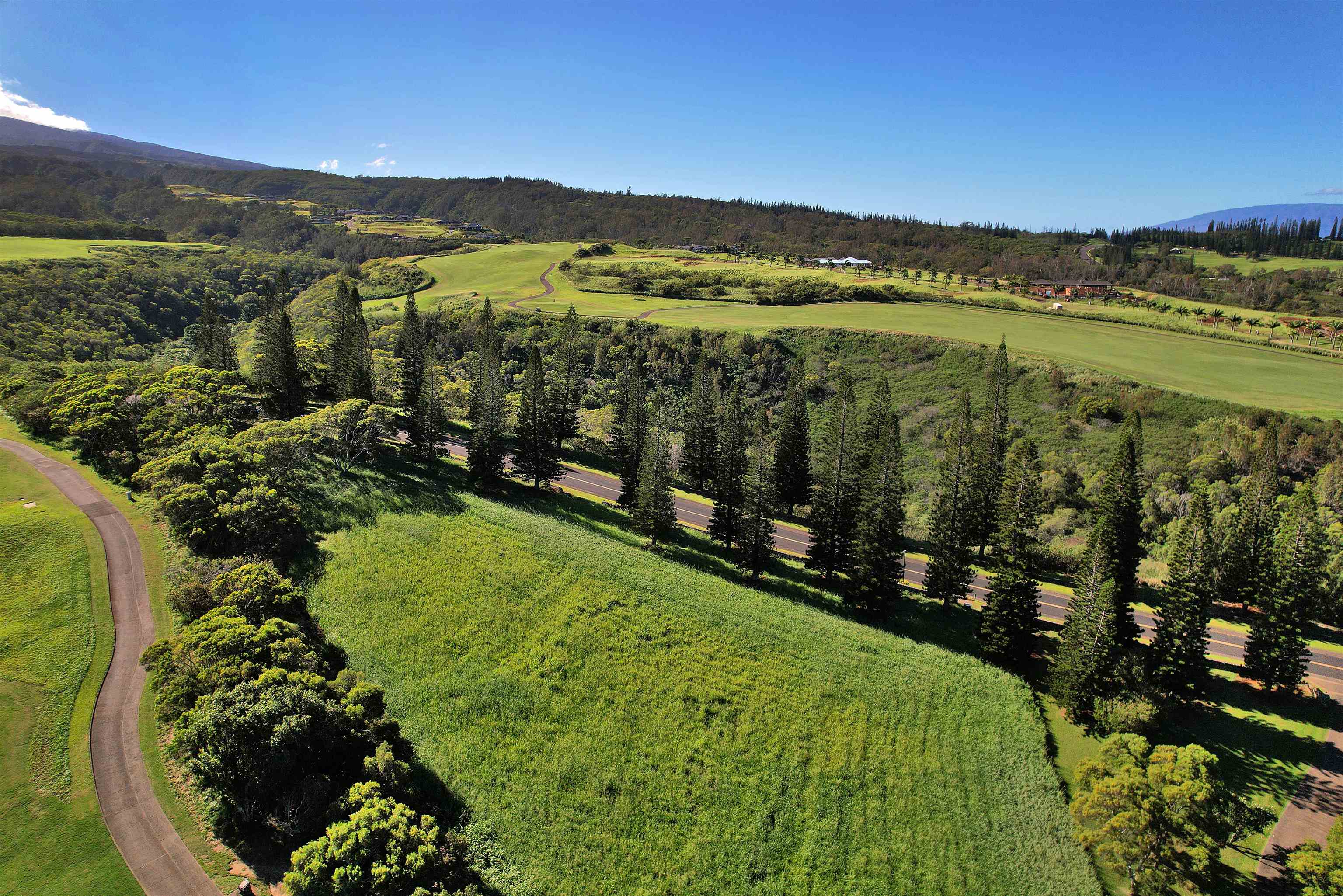 309 Plantation Estates Dr  Lahaina, Hi vacant land for sale - photo 32 of 36