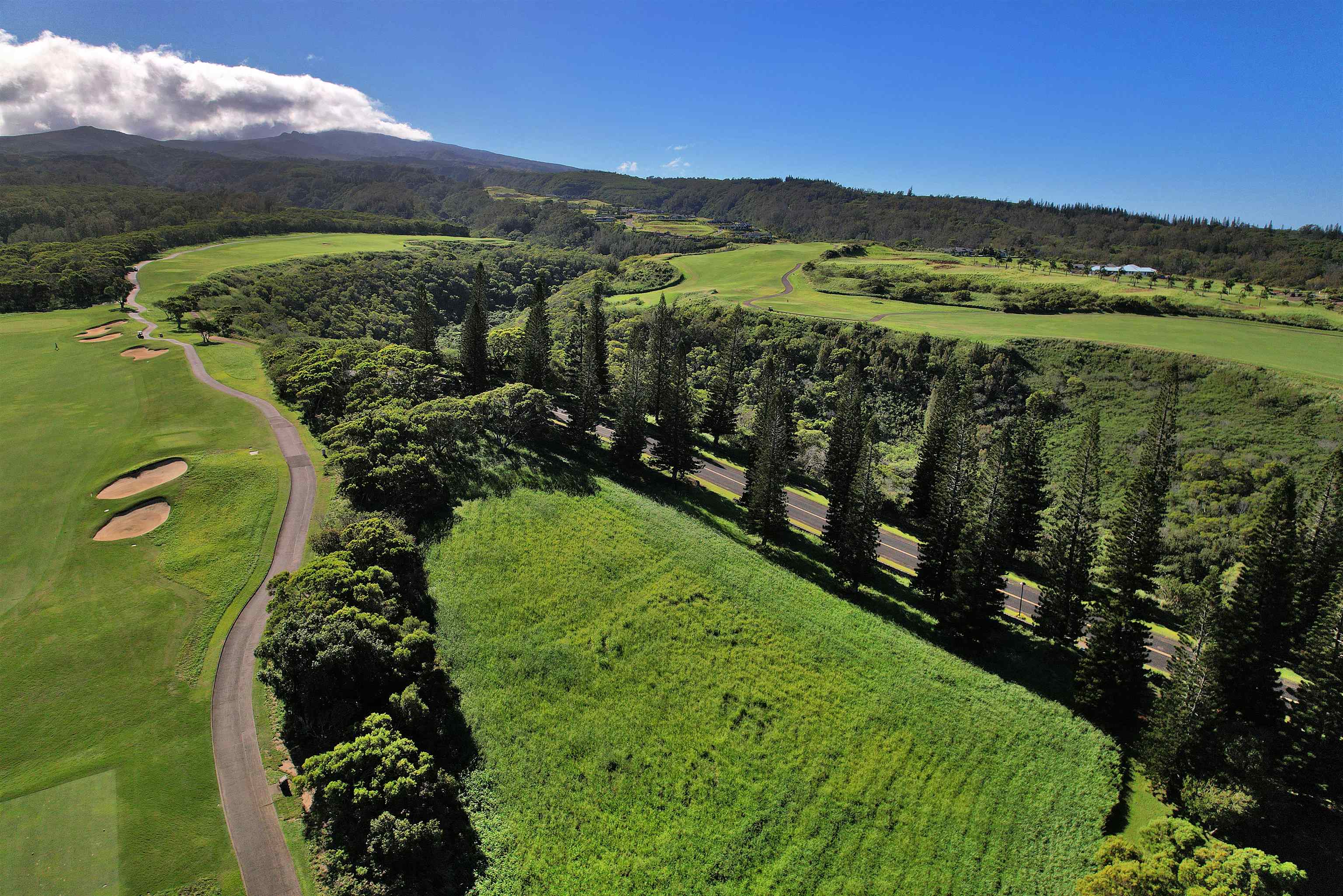 309 Plantation Estates Dr  Lahaina, Hi vacant land for sale - photo 33 of 36