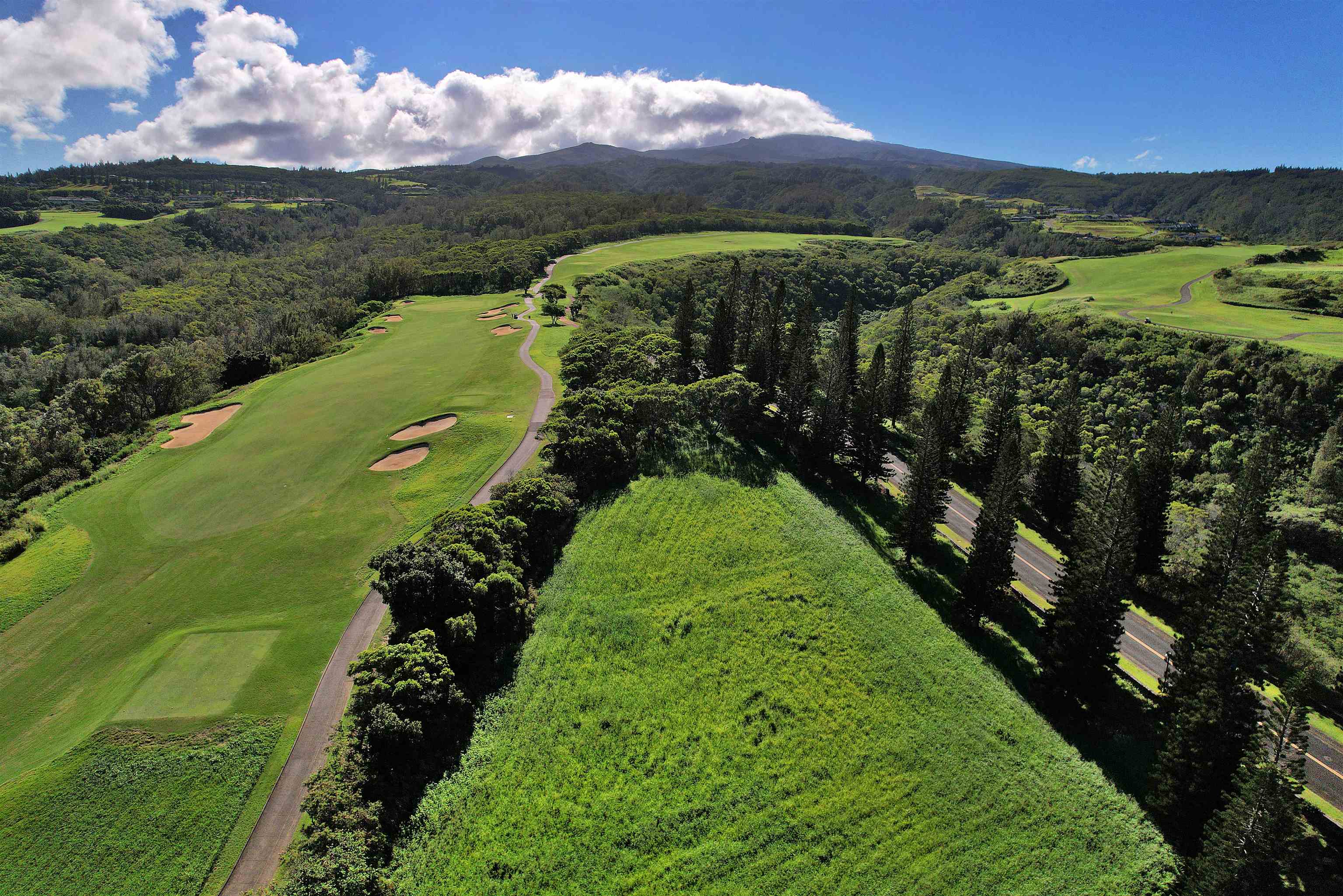 309 Plantation Estates Dr  Lahaina, Hi vacant land for sale - photo 34 of 36