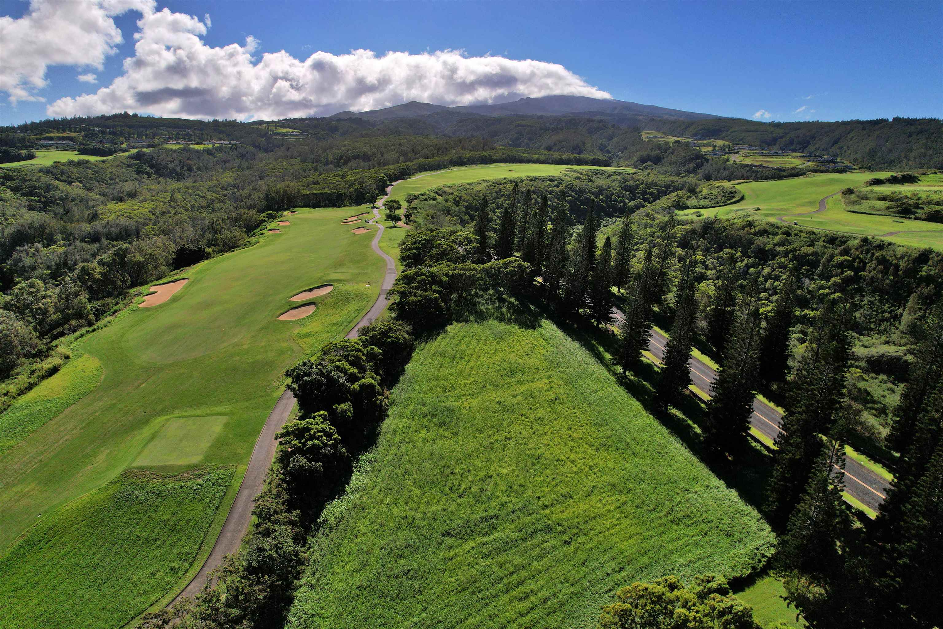 309 Plantation Estates Dr  Lahaina, Hi vacant land for sale - photo 35 of 36