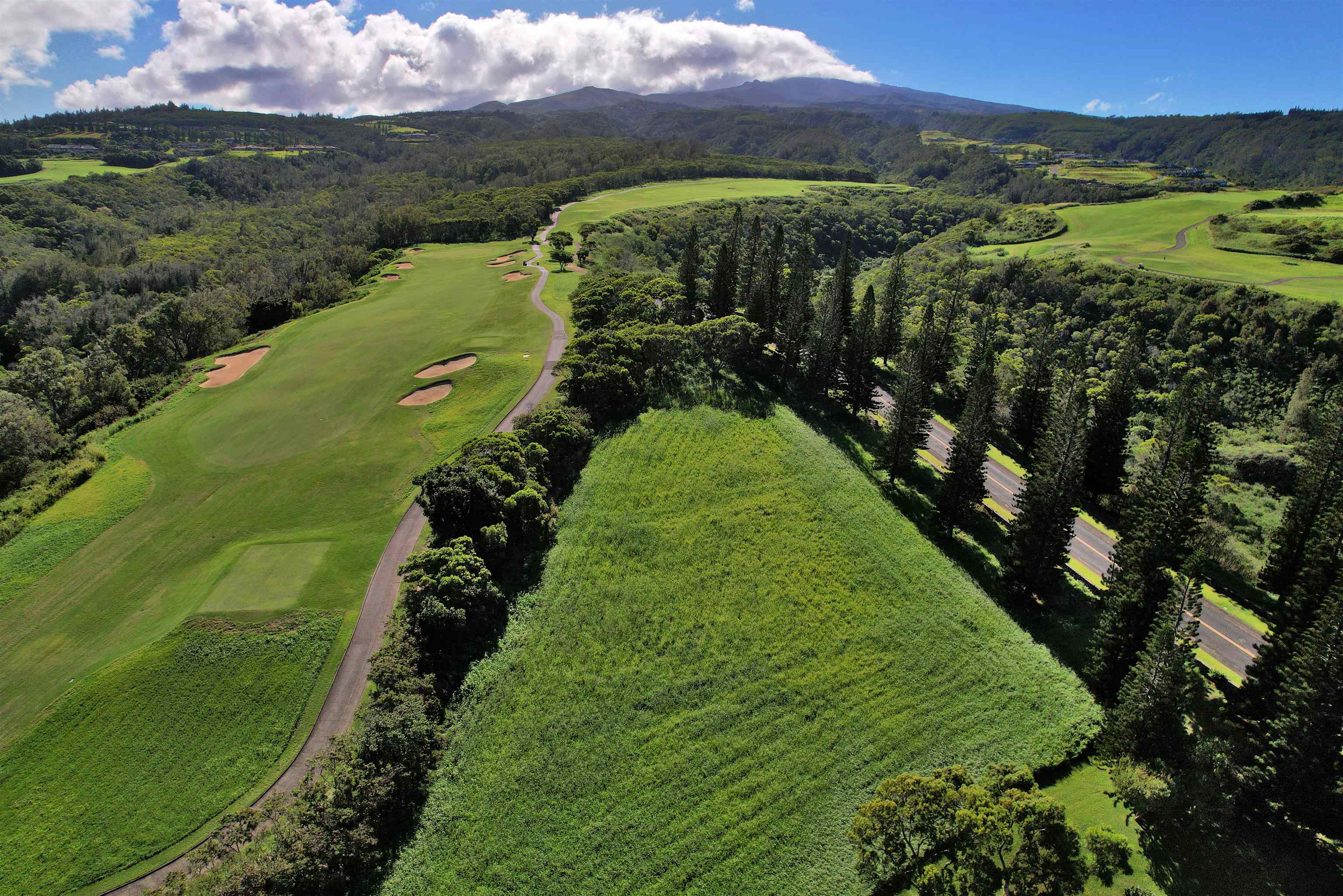 309 Plantation Estates Dr  Lahaina, Hi vacant land for sale - photo 36 of 36