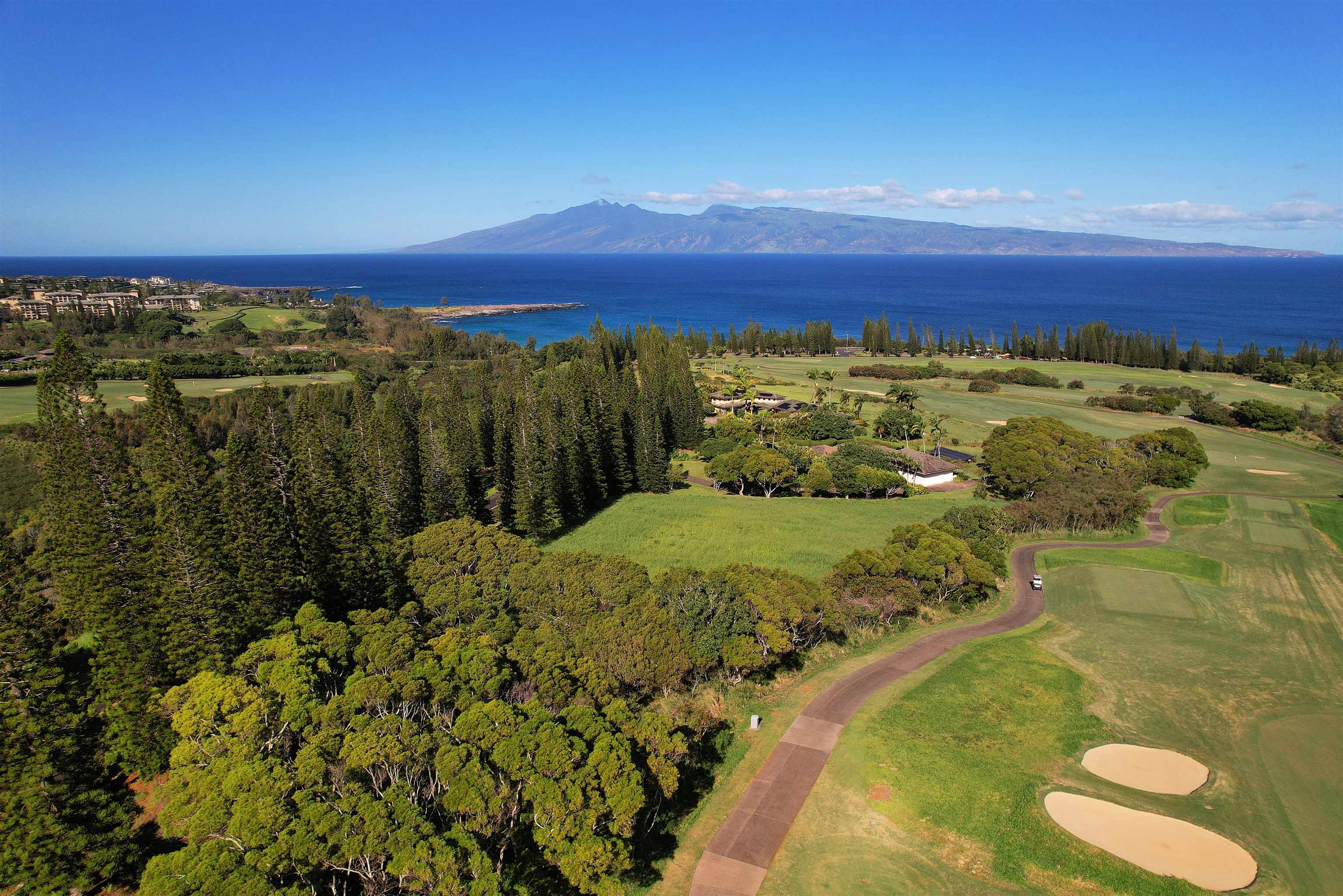 309 Plantation Estates Dr  Lahaina, Hi vacant land for sale - photo 5 of 36