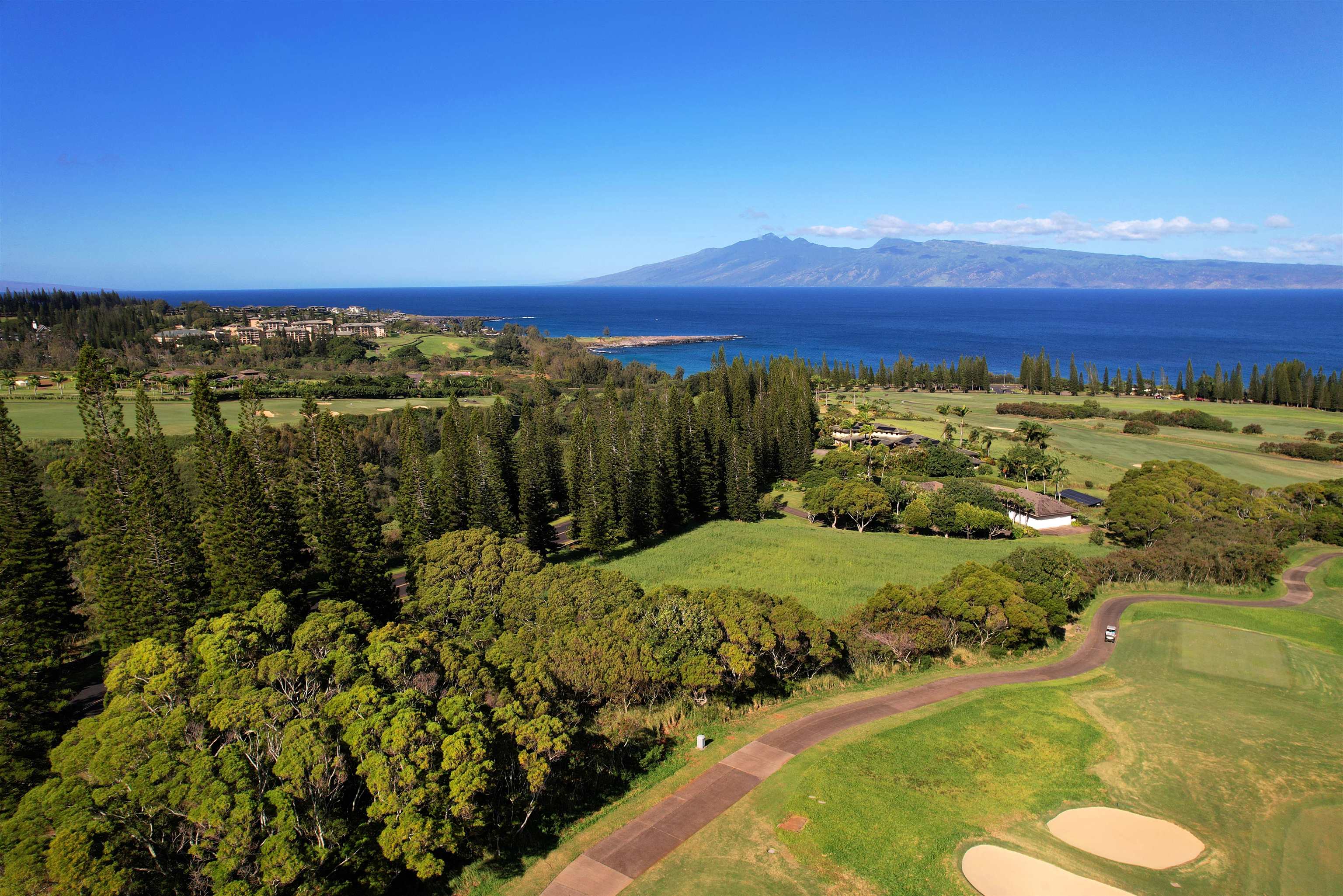 309 Plantation Estates Dr  Lahaina, Hi vacant land for sale - photo 6 of 36