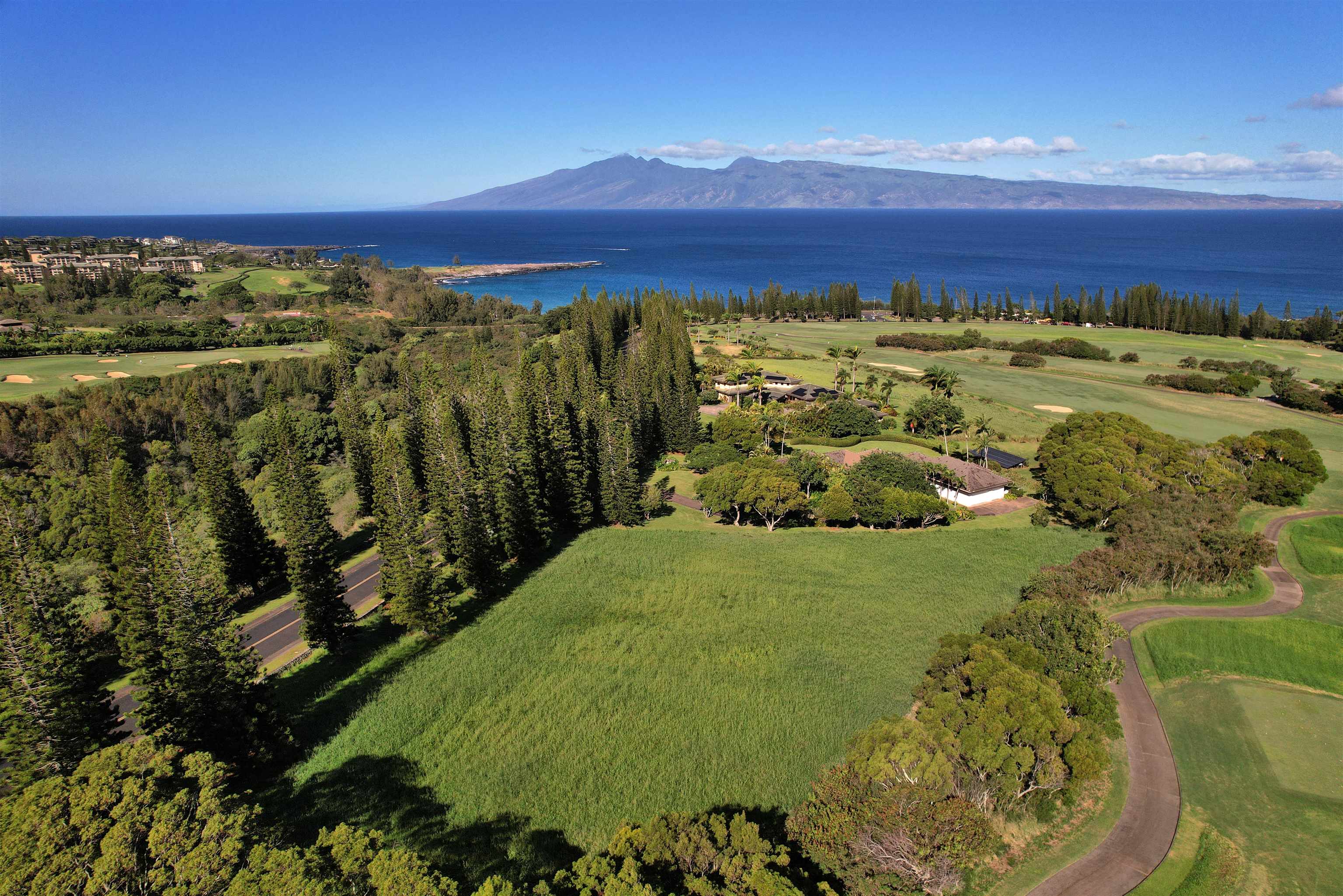 309 Plantation Estates Dr  Lahaina, Hi vacant land for sale - photo 9 of 36