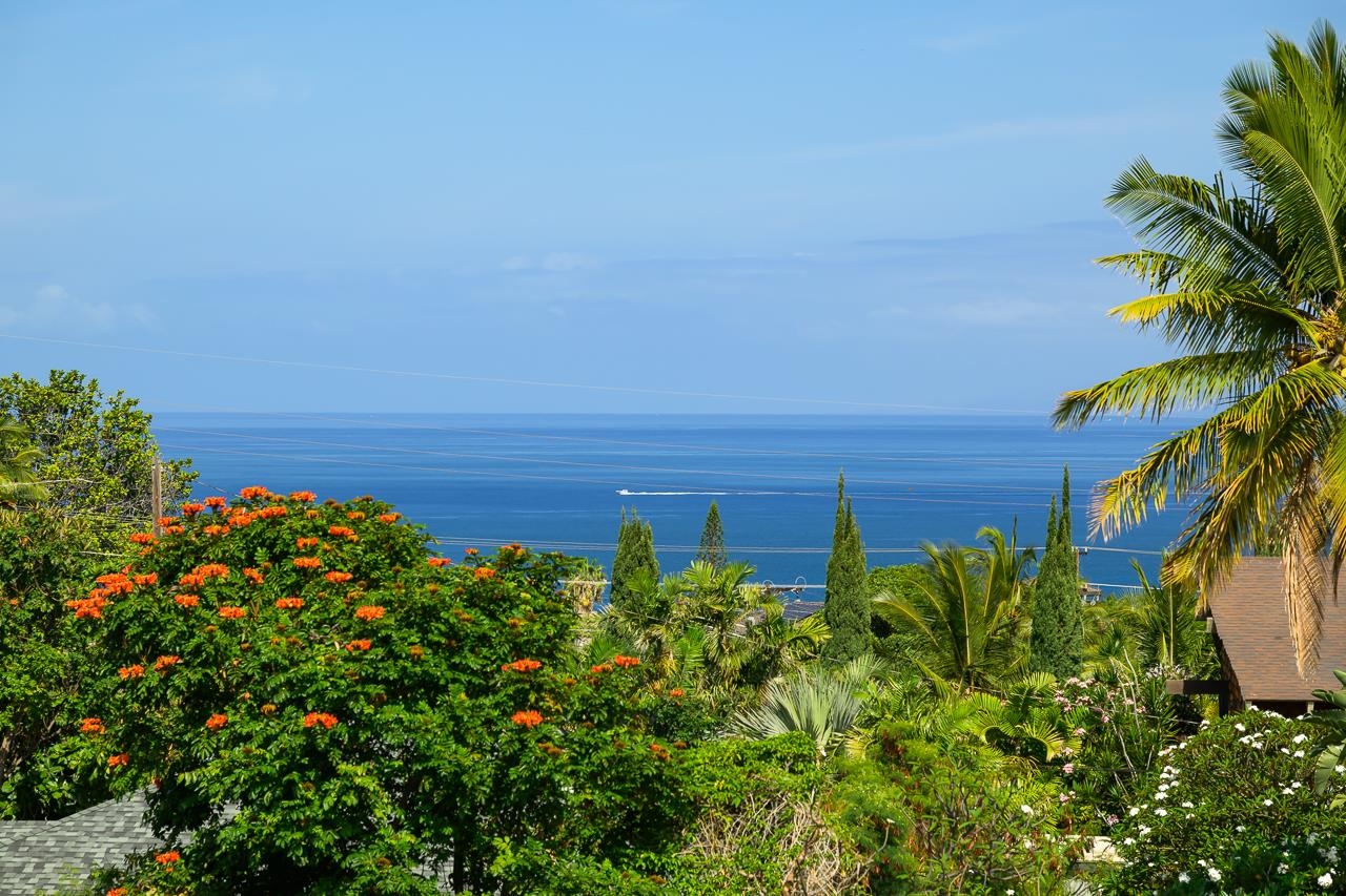 3091  Mapu Pl , Maui Meadows home - photo 13 of 50