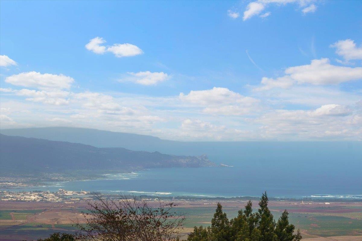 31  Hapapa Rd Upper Kula, Kula/Ulupalakua/Kanaio home - photo 2 of 50