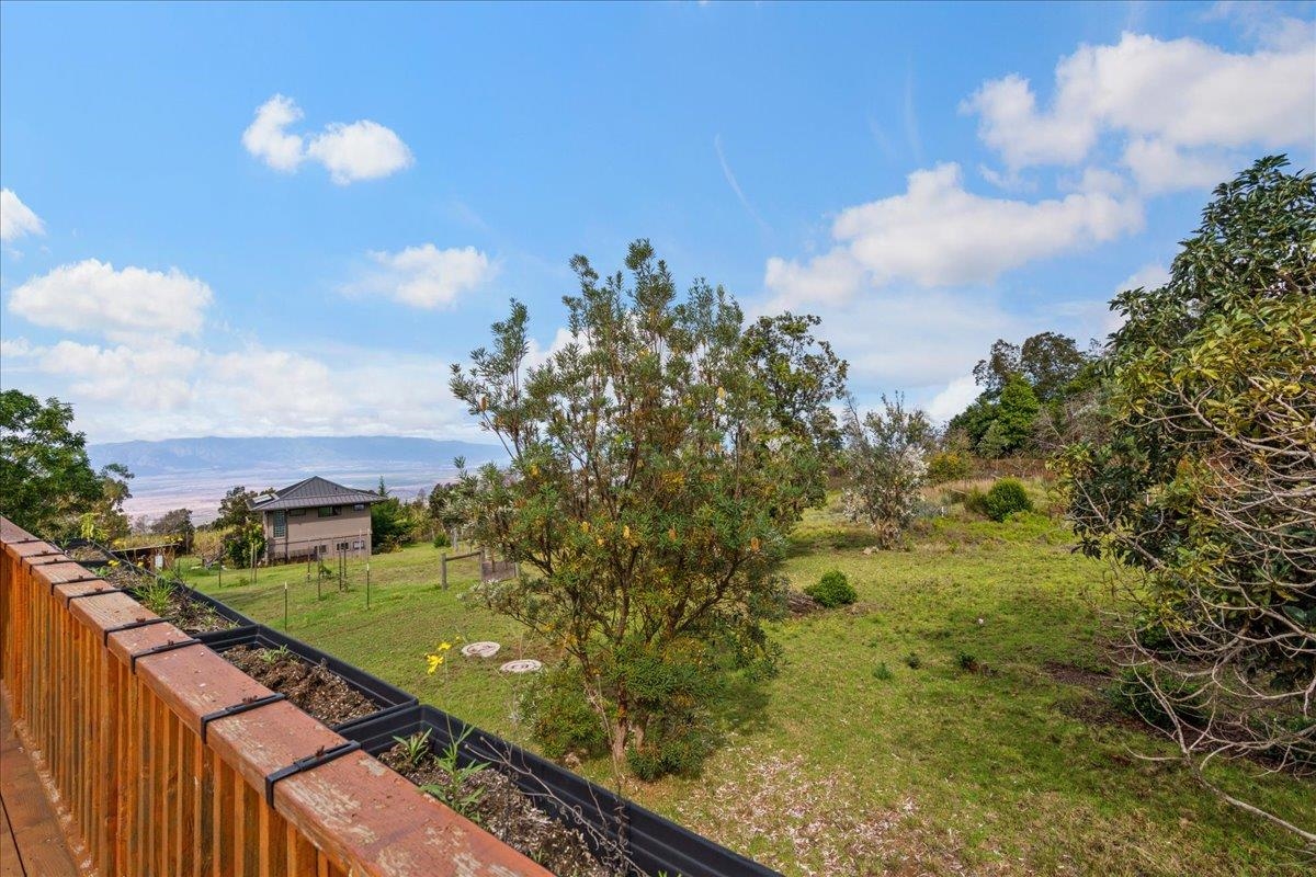 31  Hapapa Rd Upper Kula, Kula/Ulupalakua/Kanaio home - photo 20 of 50