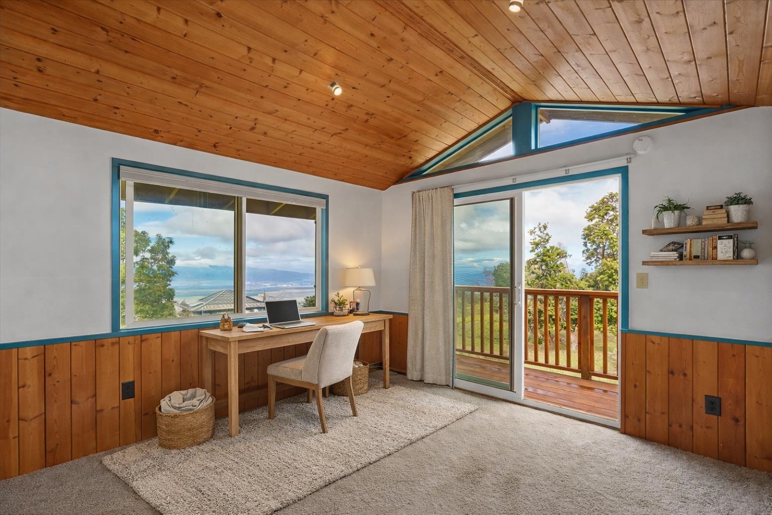 31  Hapapa Rd Upper Kula, Kula/Ulupalakua/Kanaio home - photo 23 of 50