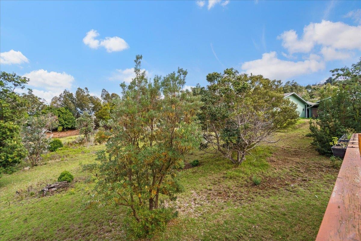 31  Hapapa Rd Upper Kula, Kula/Ulupalakua/Kanaio home - photo 42 of 50