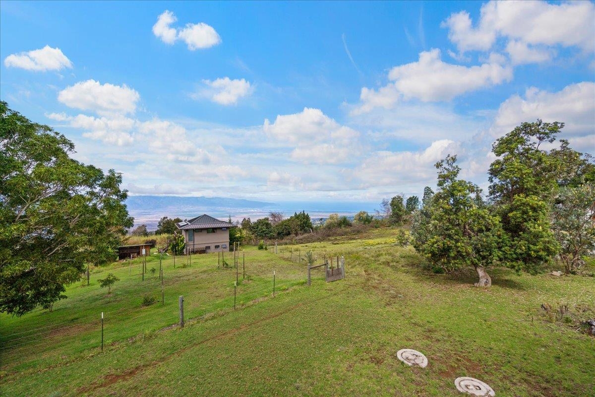 31  Hapapa Rd Upper Kula, Kula/Ulupalakua/Kanaio home - photo 43 of 50