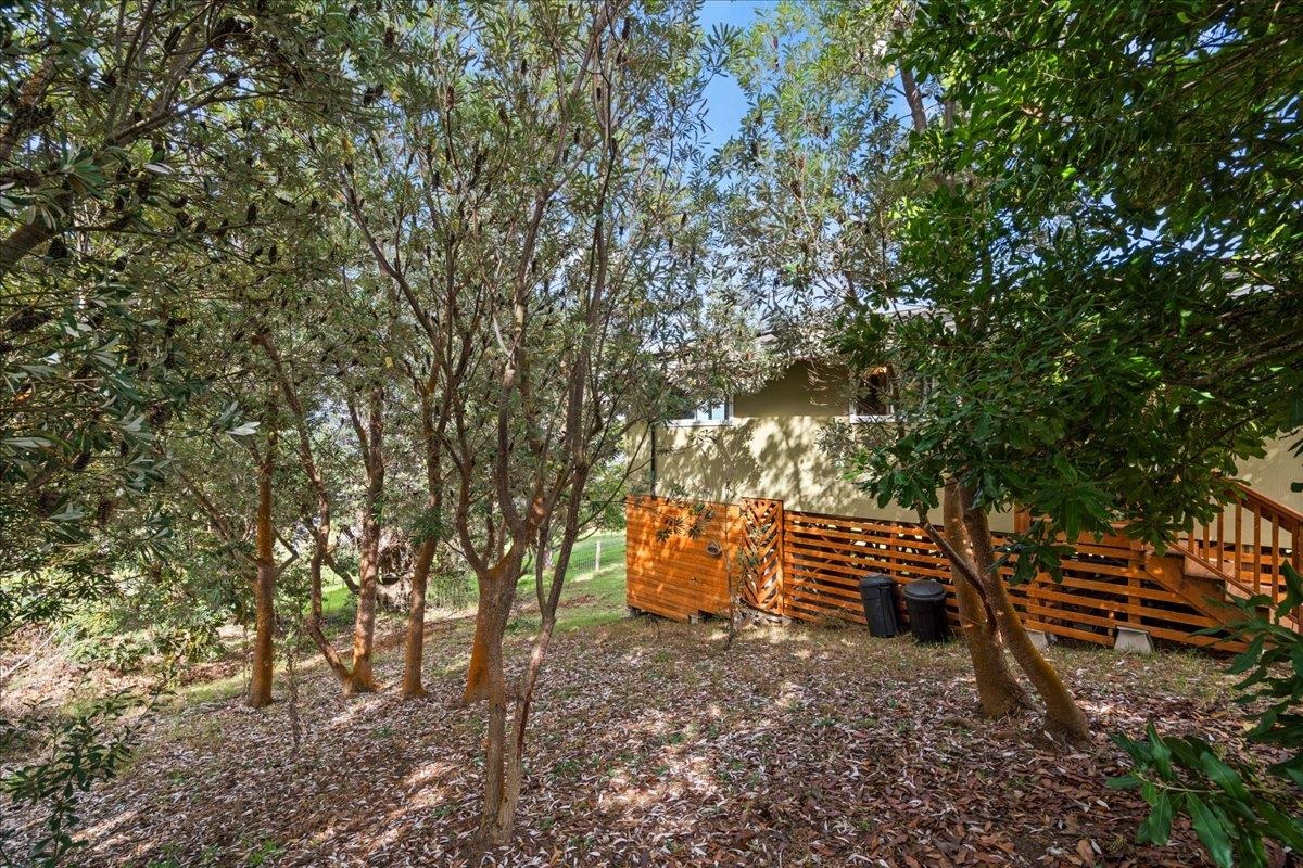 31  Hapapa Rd Upper Kula, Kula/Ulupalakua/Kanaio home - photo 45 of 50