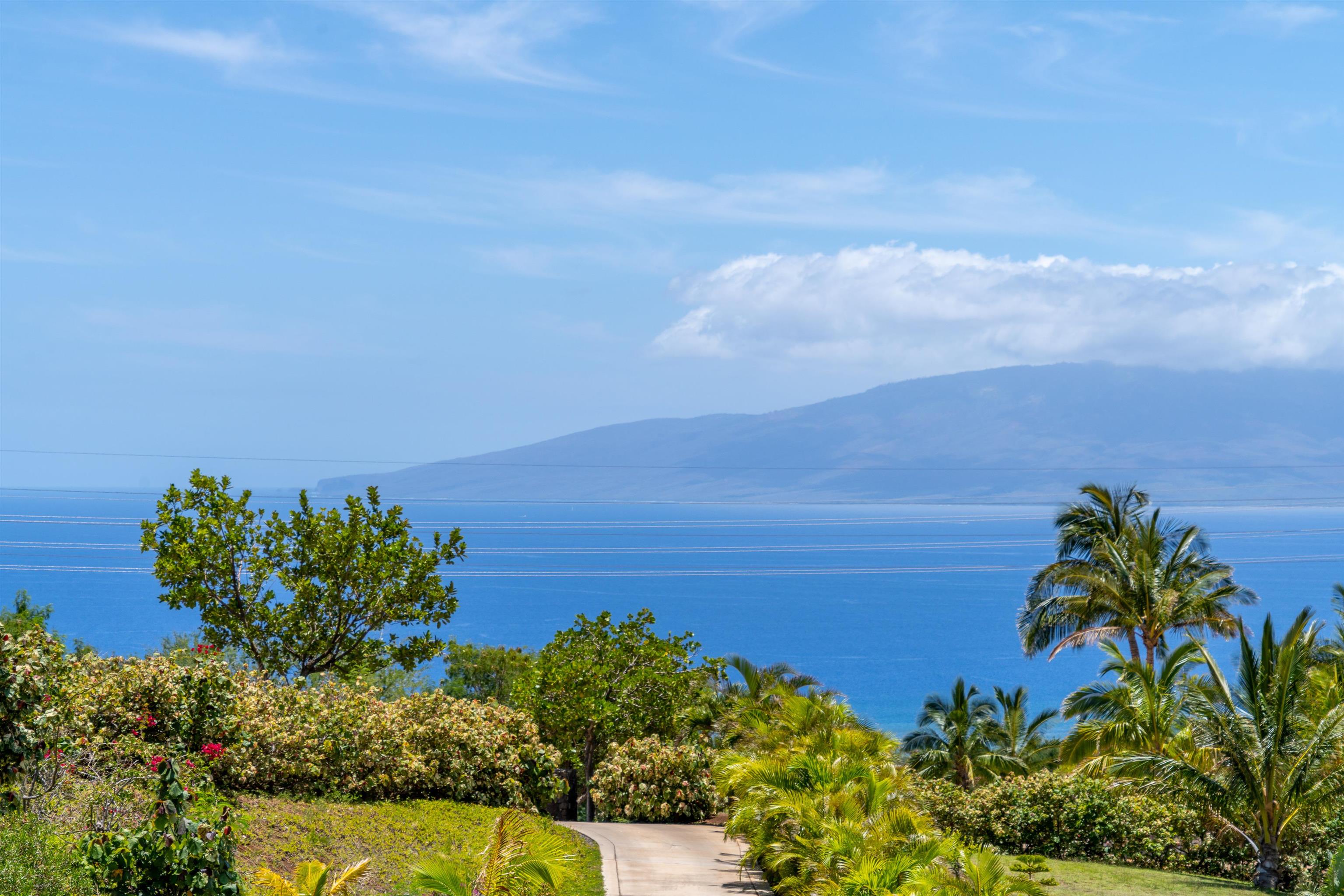 31  Iliahi Way Launiupoko, Lahaina home - photo 33 of 46