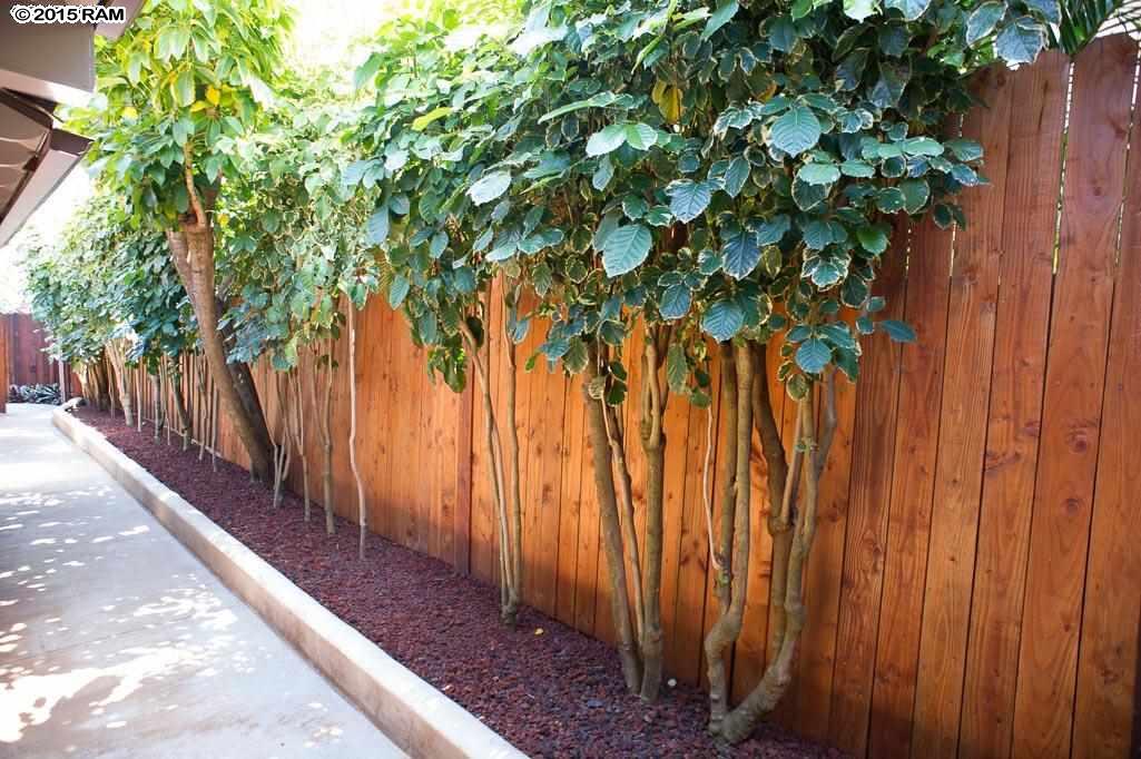 31  Kaiholo Pl Mama's Fish House, Spreckelsville/Paia/Kuau home - photo 23 of 30