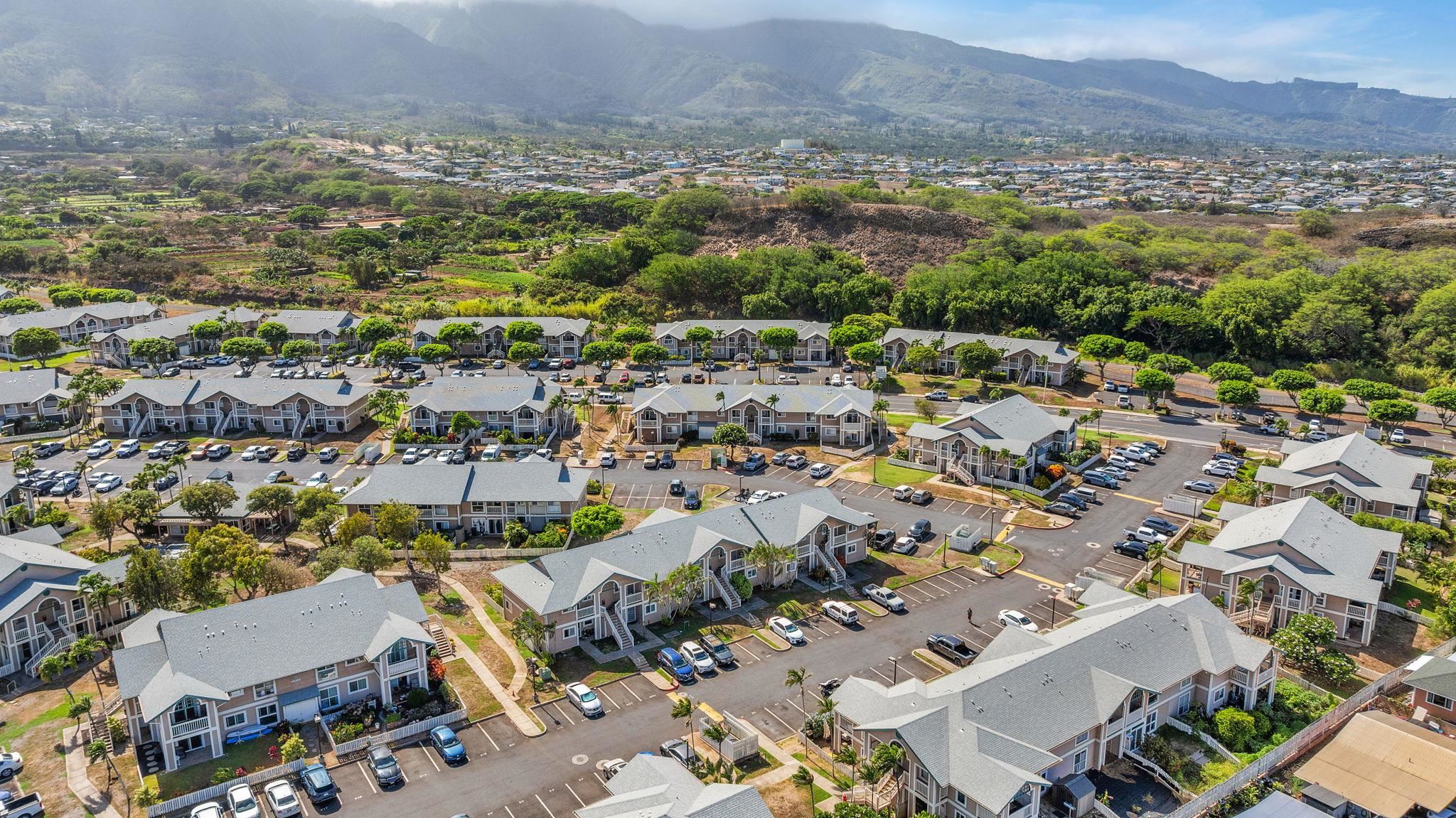 Iao Parkside I condo # 5-204, Wailuku, Hawaii - photo 44 of 47