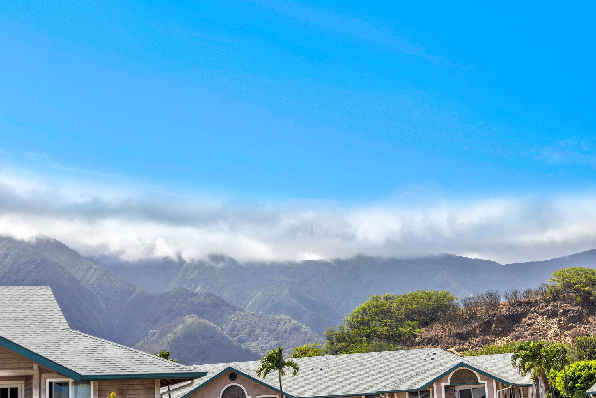 Iao Parkside I condo # 5-204, Wailuku, Hawaii - photo 45 of 47