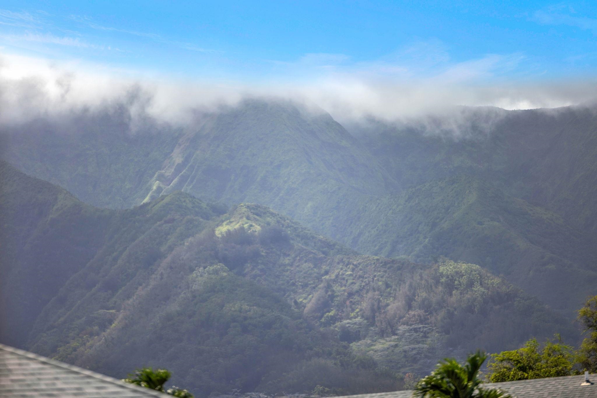 Iao Parkside I condo # 5-204, Wailuku, Hawaii - photo 46 of 47
