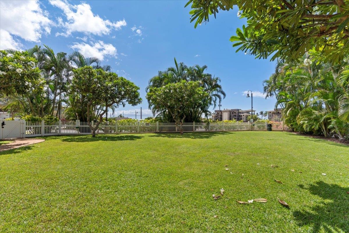 Hoonanea at Lahaina condo # 206, Lahaina, Hawaii - photo 40 of 40