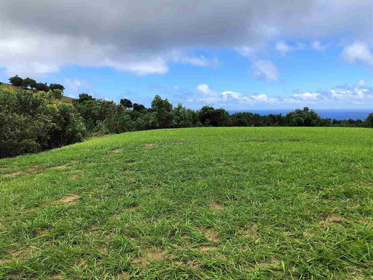 31 Lahaole Pl MCR 12B Wailuku, Hi vacant land for sale - photo 5 of 18