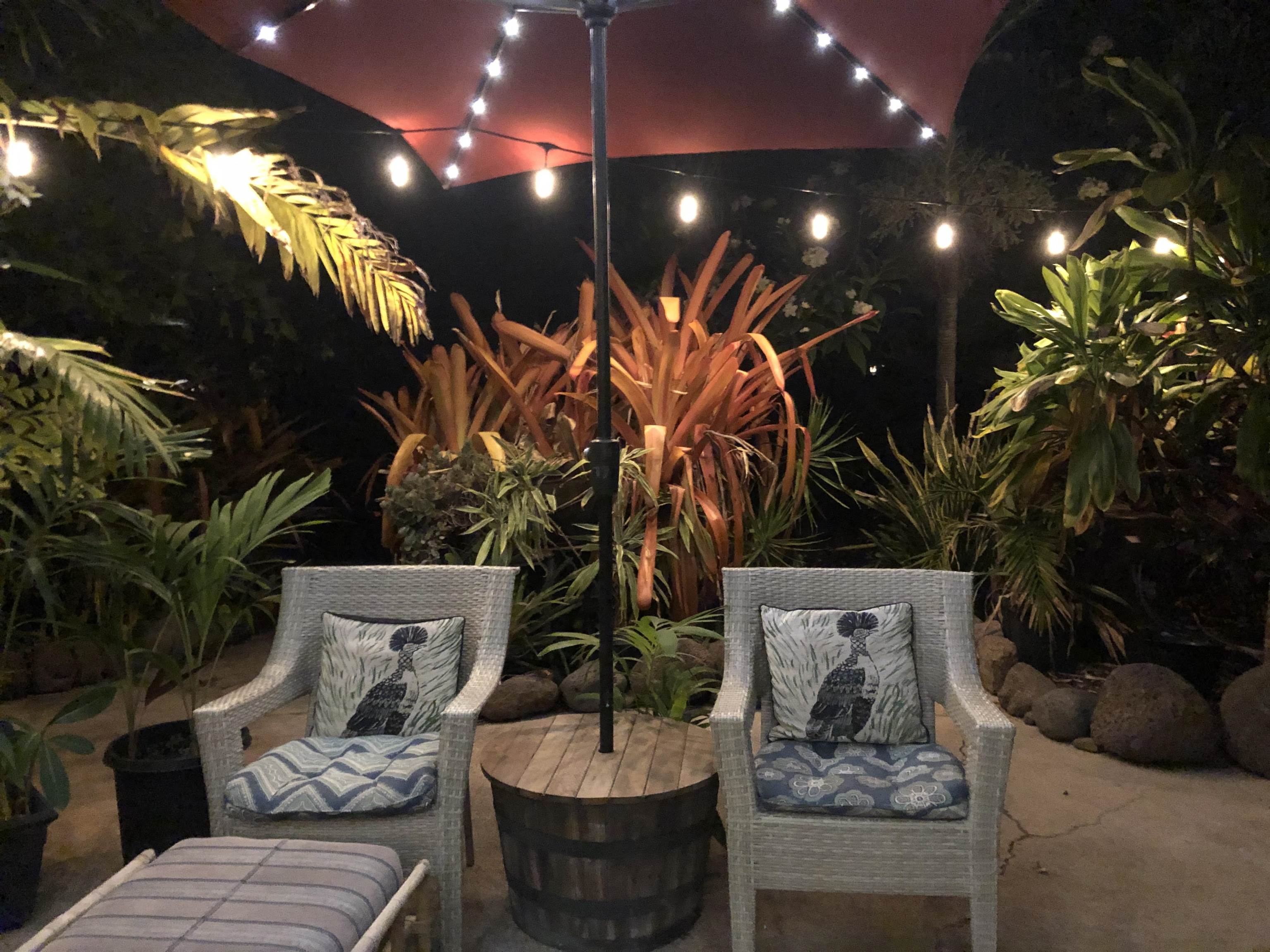 310  Front St Shark Pit, Lahaina home - photo 19 of 22