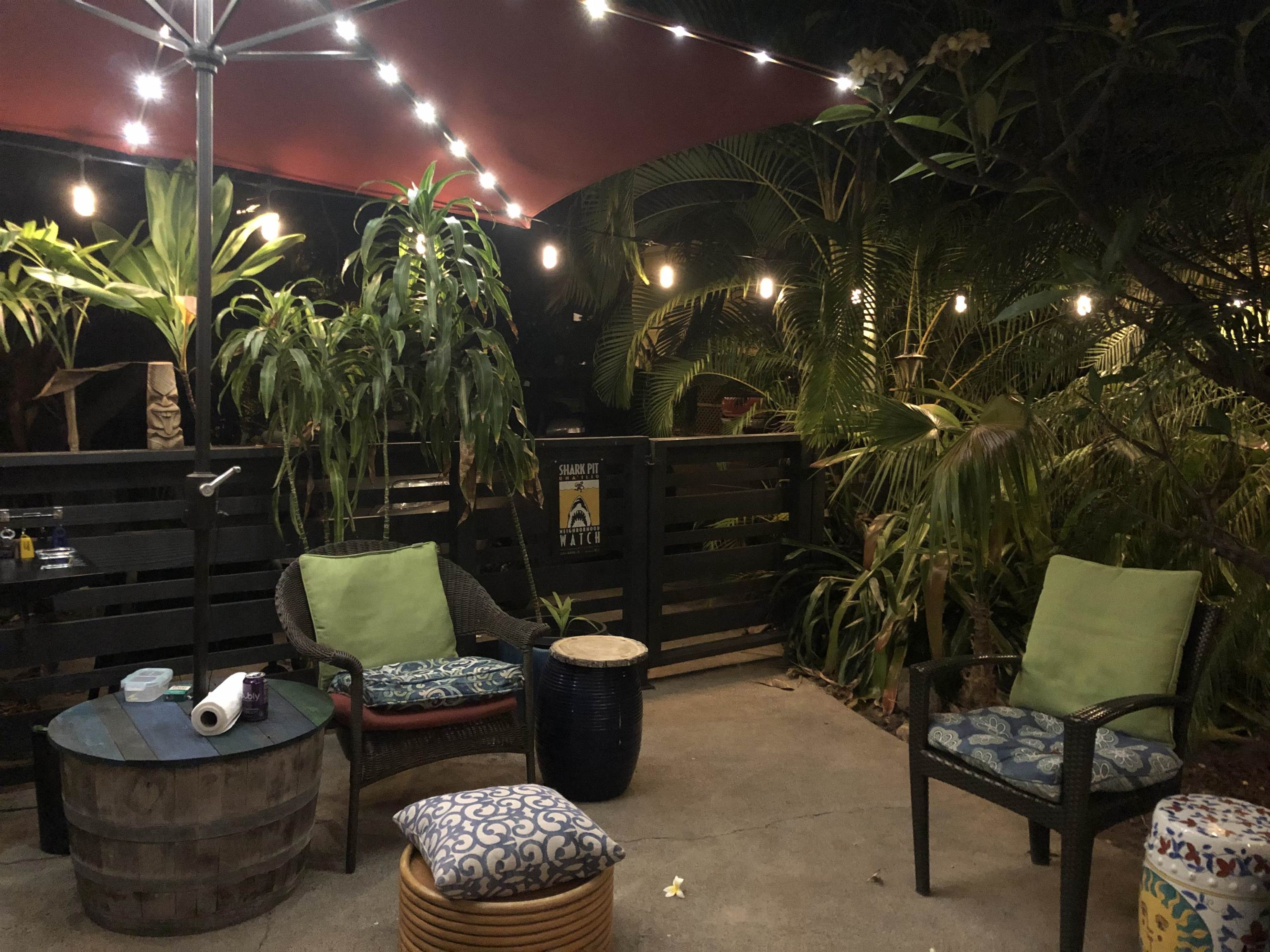 310  Front St Shark Pit, Lahaina home - photo 20 of 22