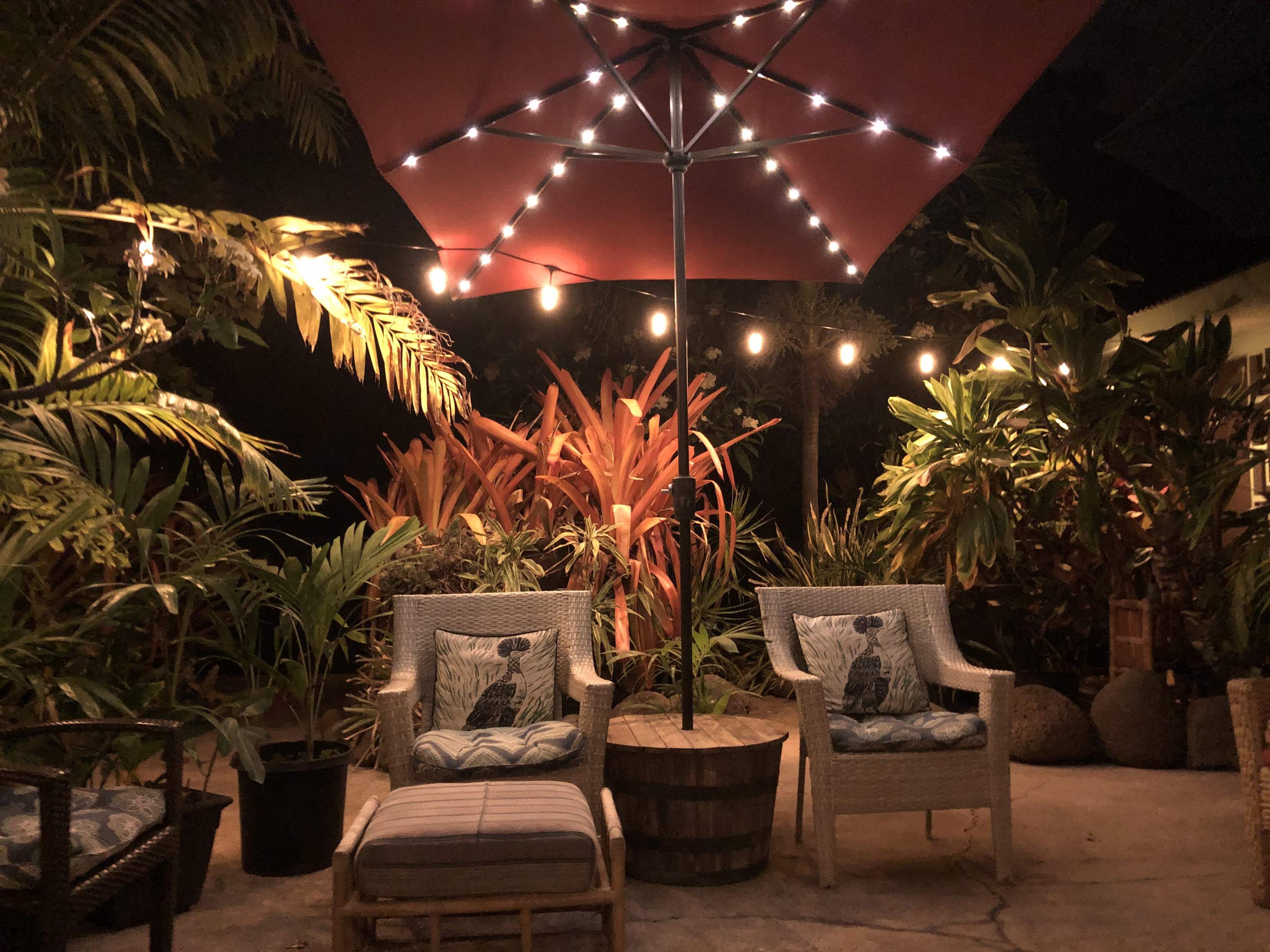 310  Front St Shark Pit, Lahaina home - photo 21 of 22