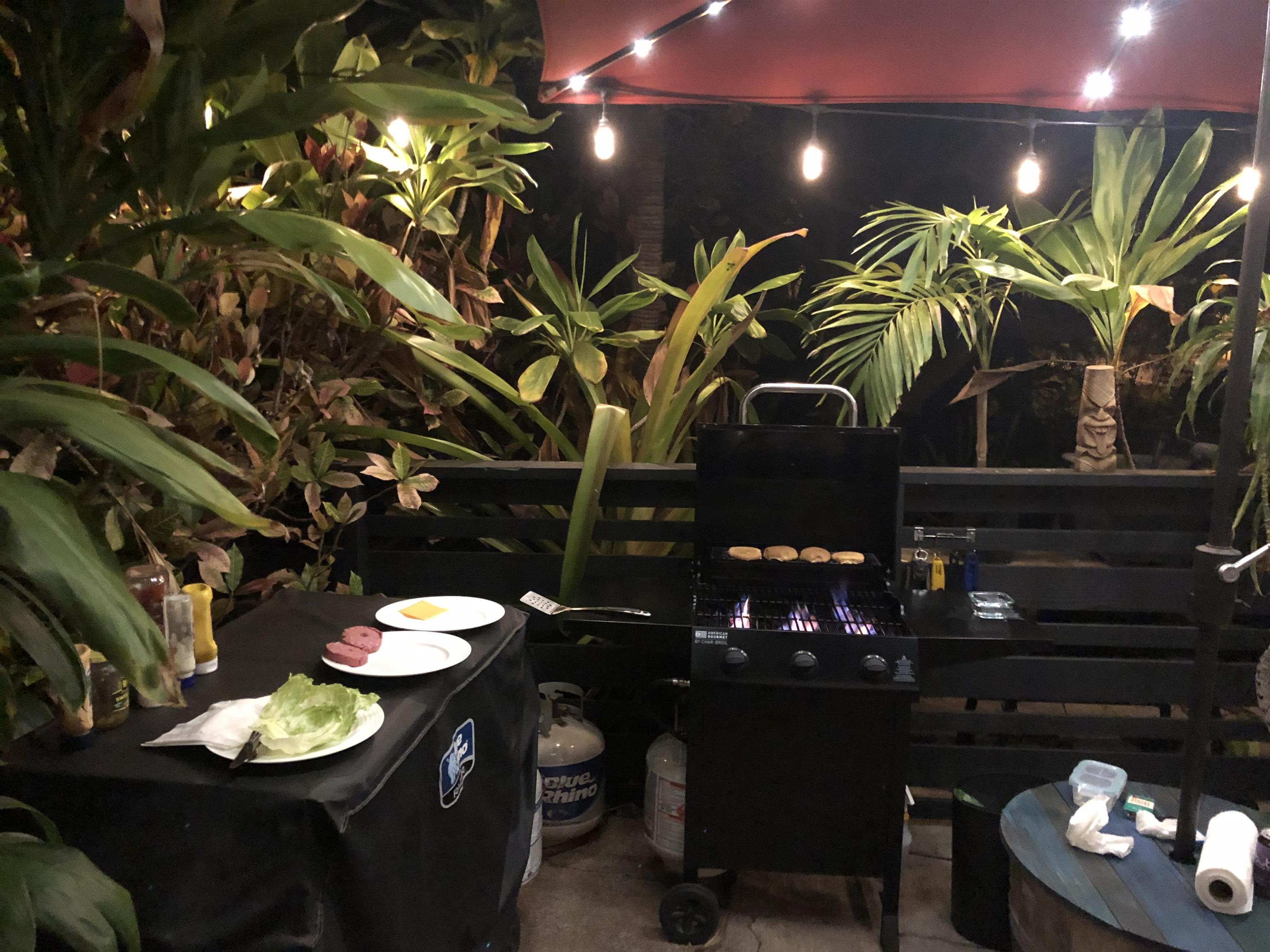 310  Front St Shark Pit, Lahaina home - photo 22 of 22