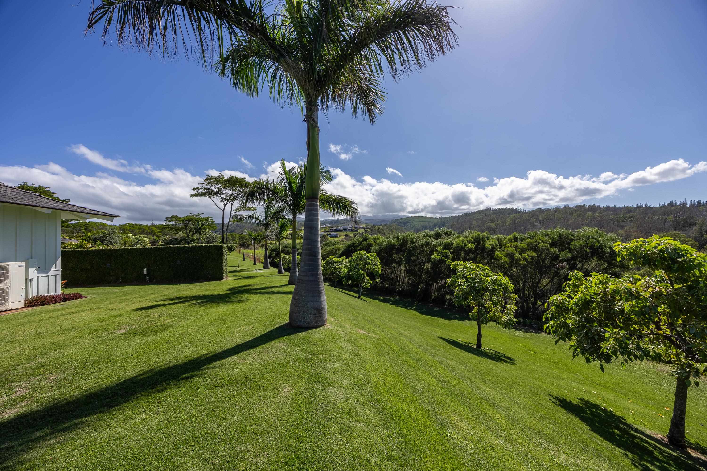 310  Mahana Ridge St Kapalua, Kapalua home - photo 44 of 50