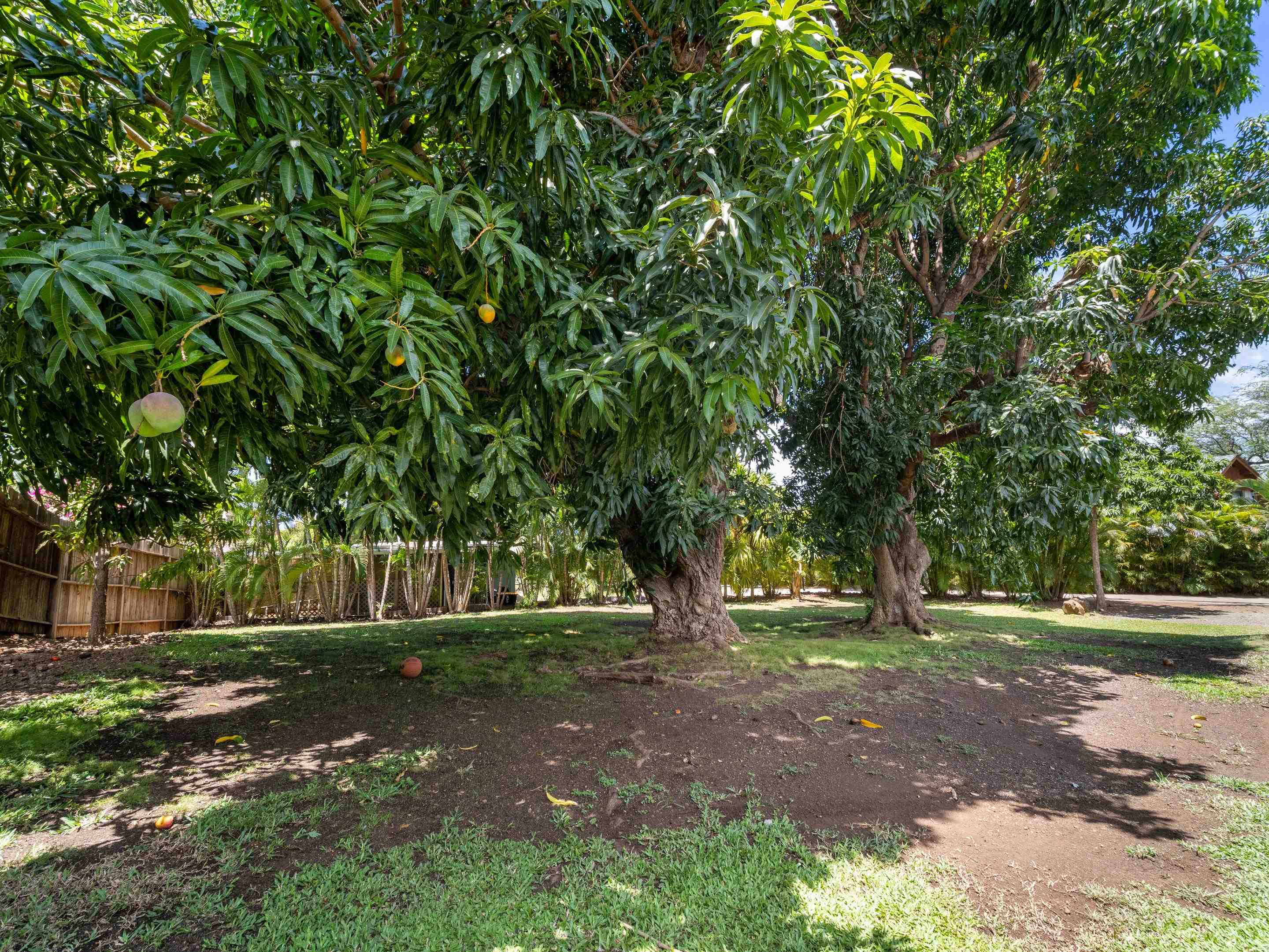 3100  Mapu Pl Maui Meadows, Maui Meadows home - photo 9 of 32