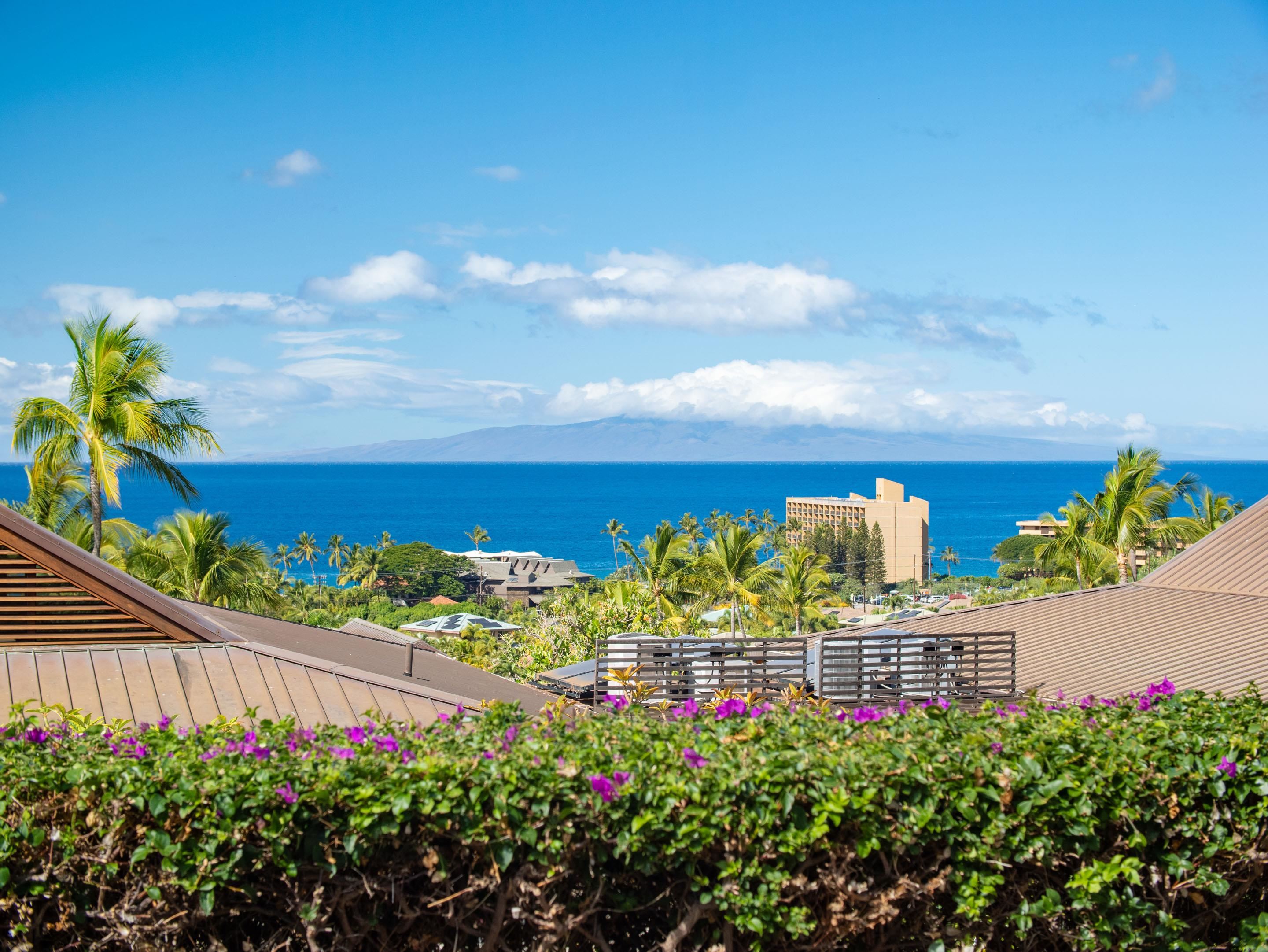 Papali Wailea condo # 1, Kihei, Hawaii - photo 22 of 50