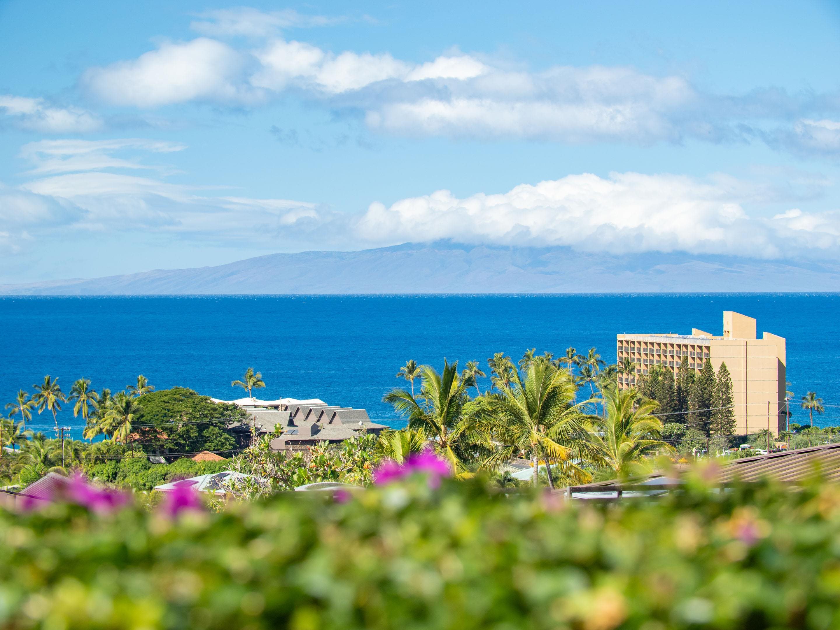 Papali Wailea condo # 1, Kihei, Hawaii - photo 6 of 50