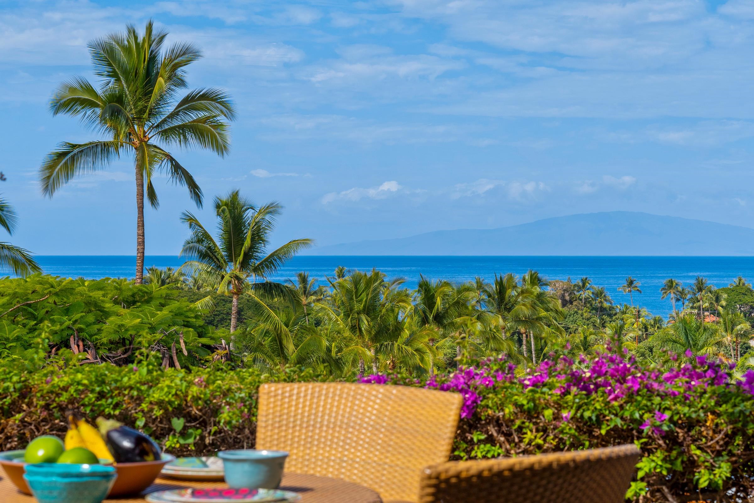 Papali Wailea condo # 17, Kihei, Hawaii - photo 5 of 49